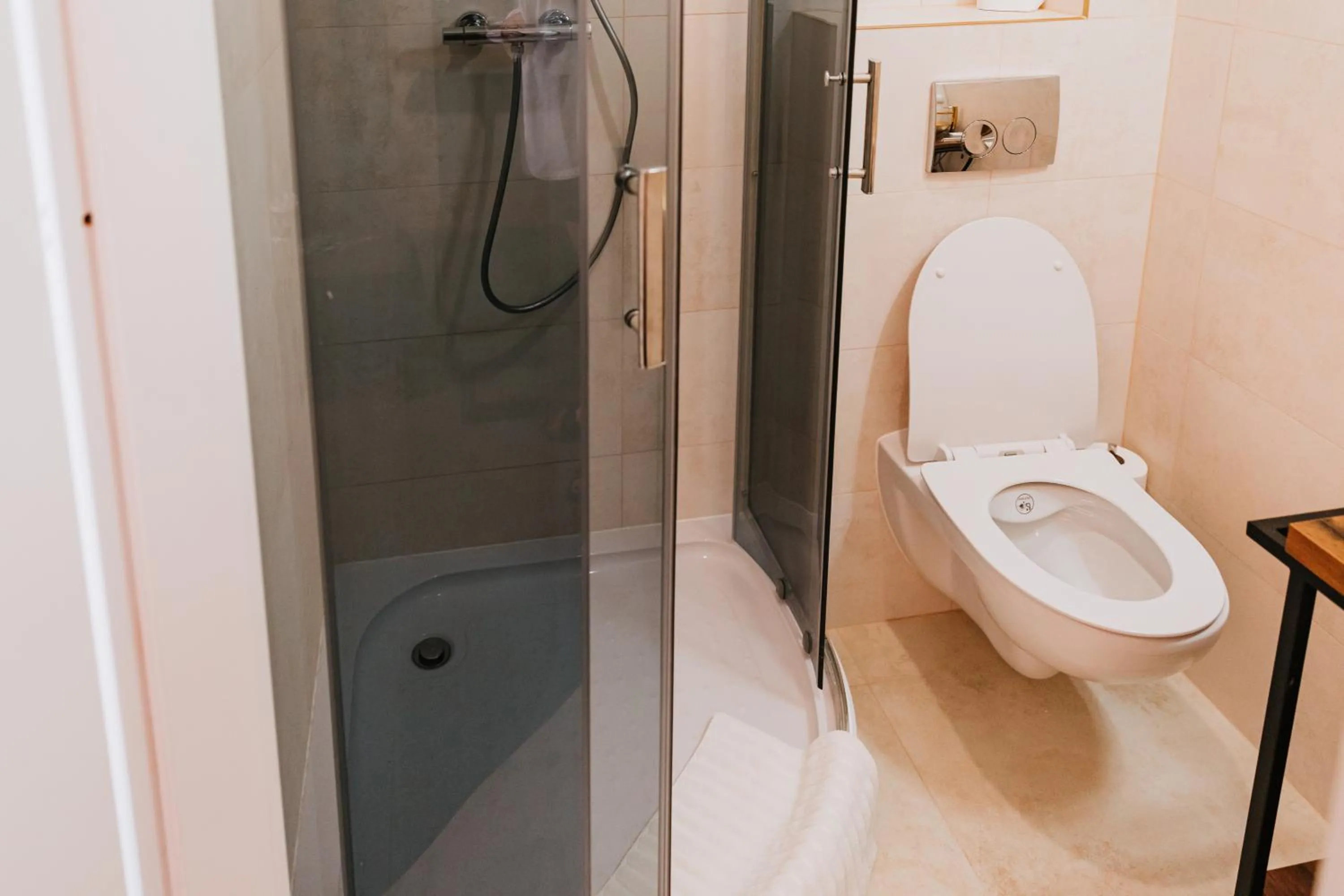 Toilet in Kamieniczka Palladium