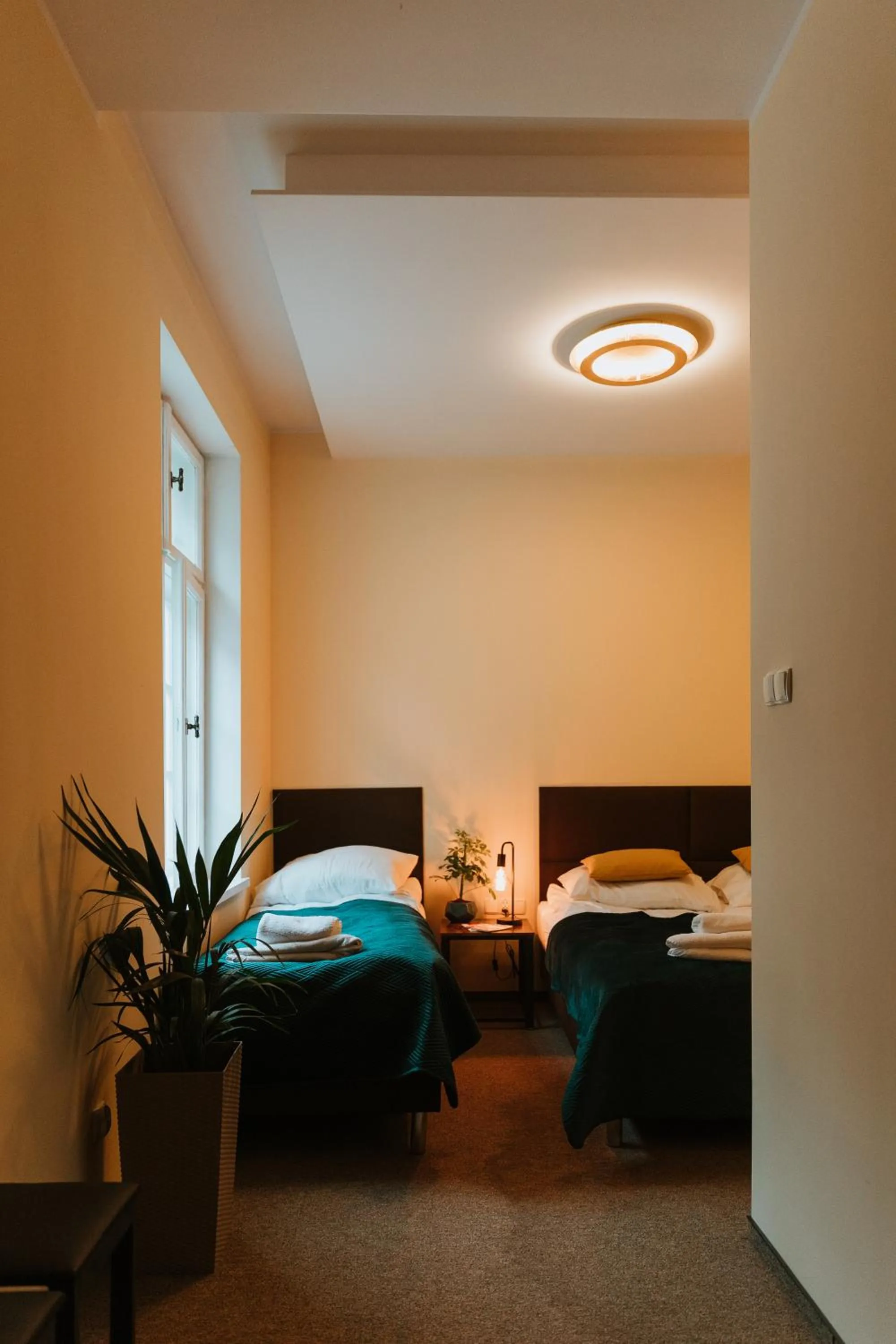 Photo of the whole room, Bed in Kamieniczka Palladium