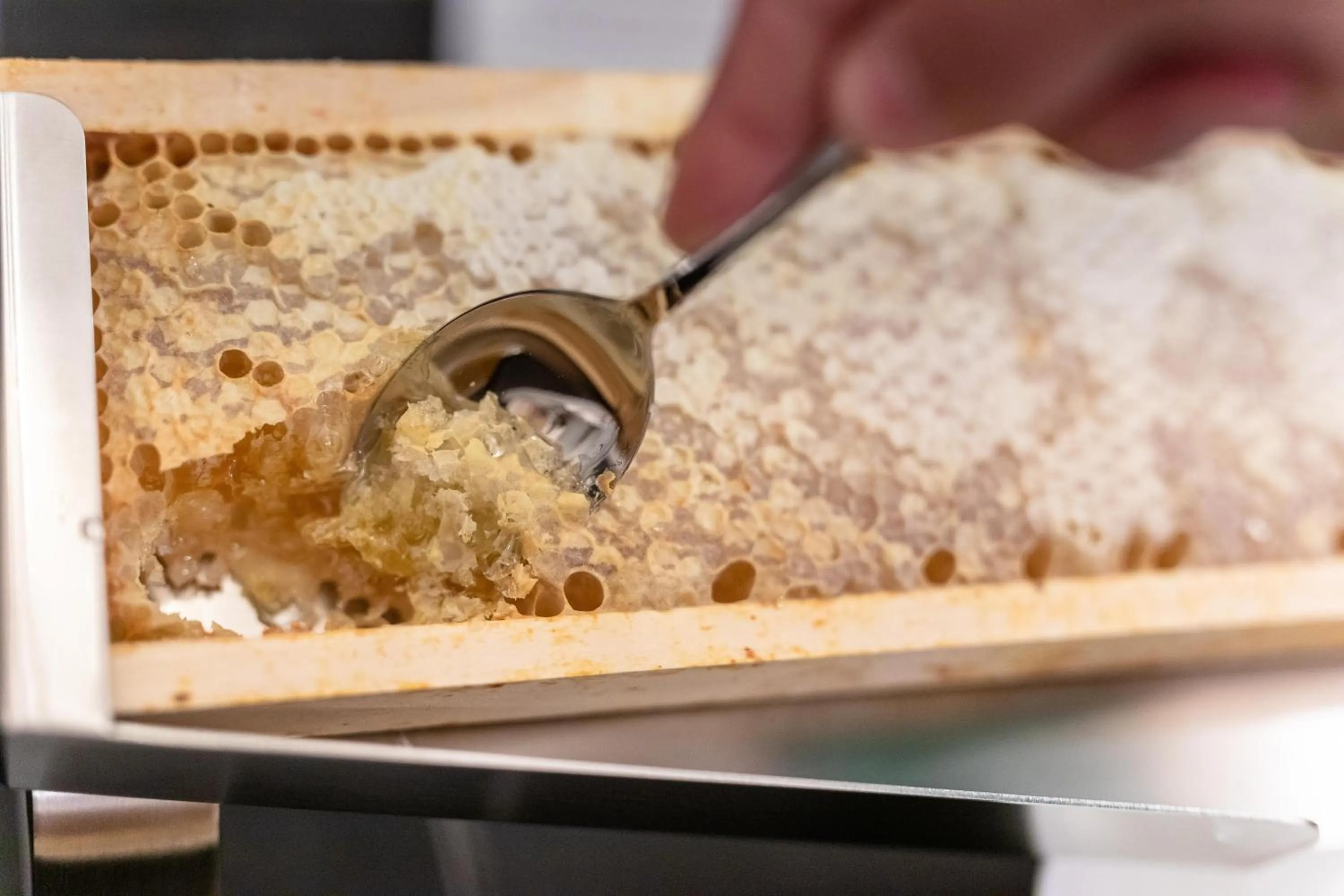 Buffet breakfast in Curt di Clement Eco Mobility Hotel