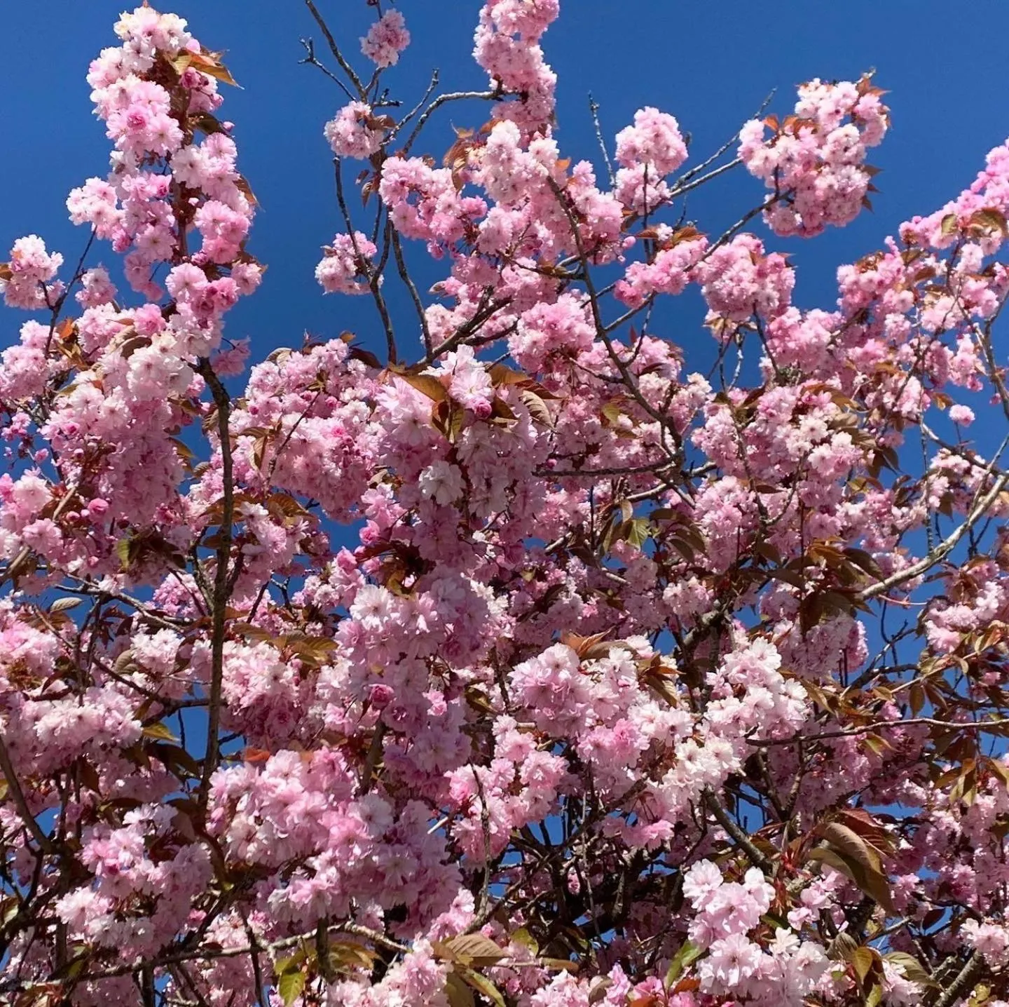 Property building in Trysnes Brygge