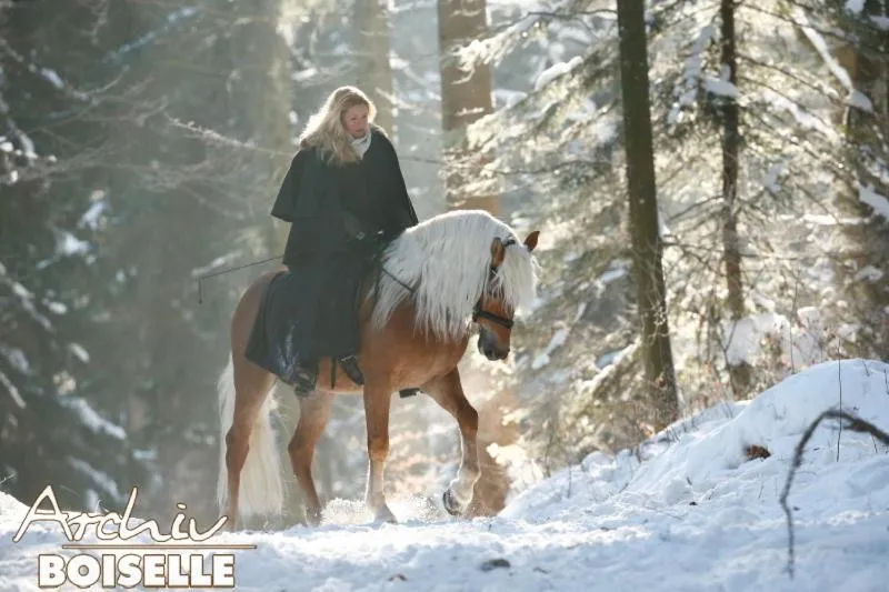 Winter in Haflingerhof