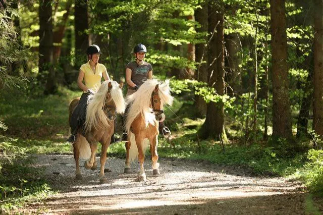 Horse-riding in Haflingerhof