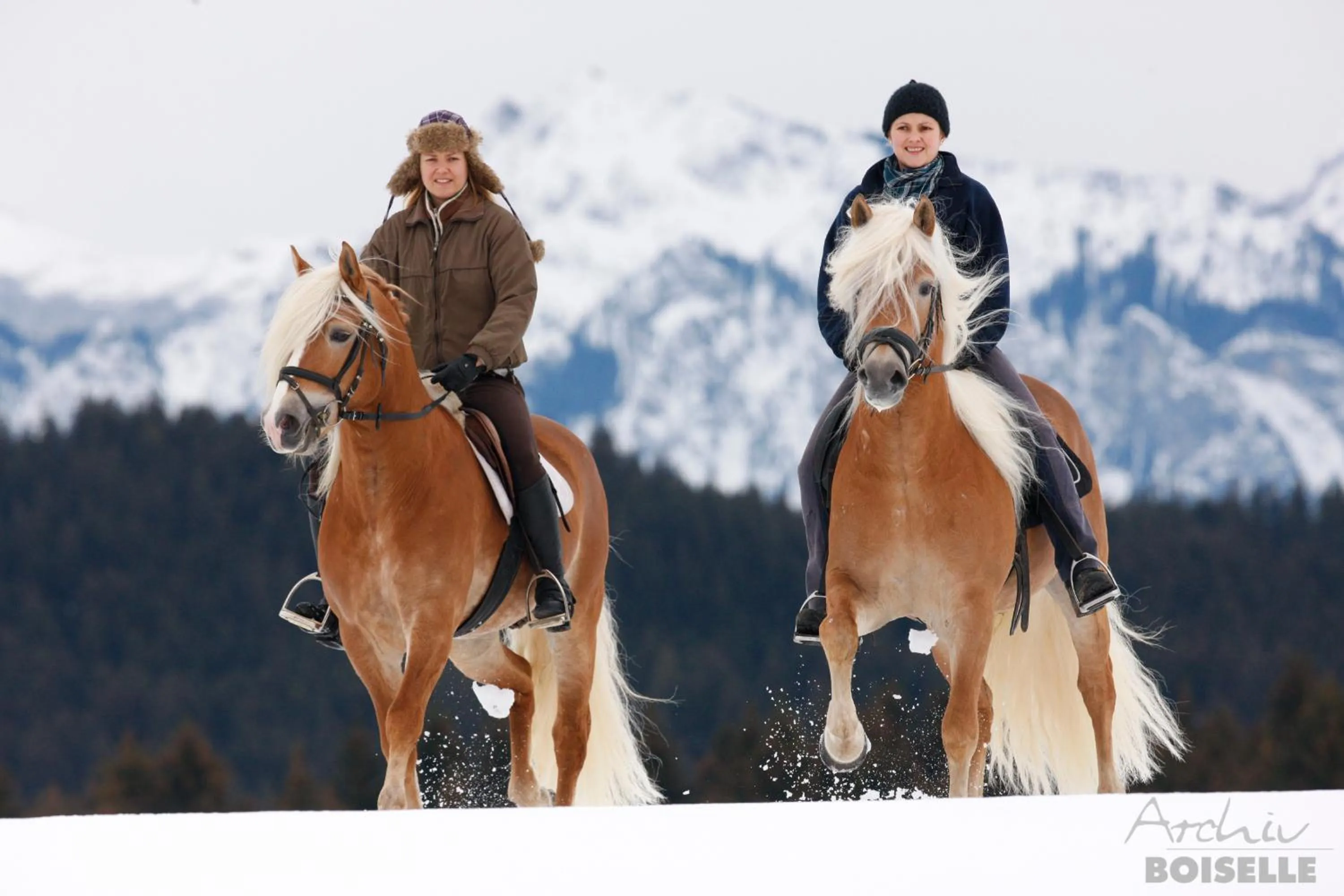 Horse-riding in Haflingerhof
