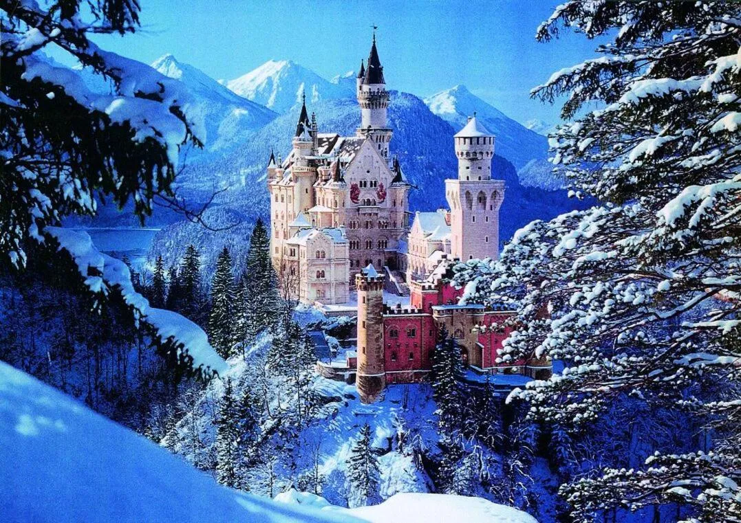 Area and facilities in Haflingerhof