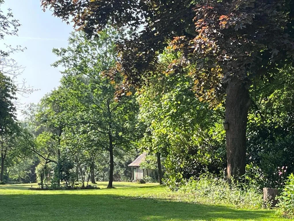 View (from property/room) in Lait & Lit