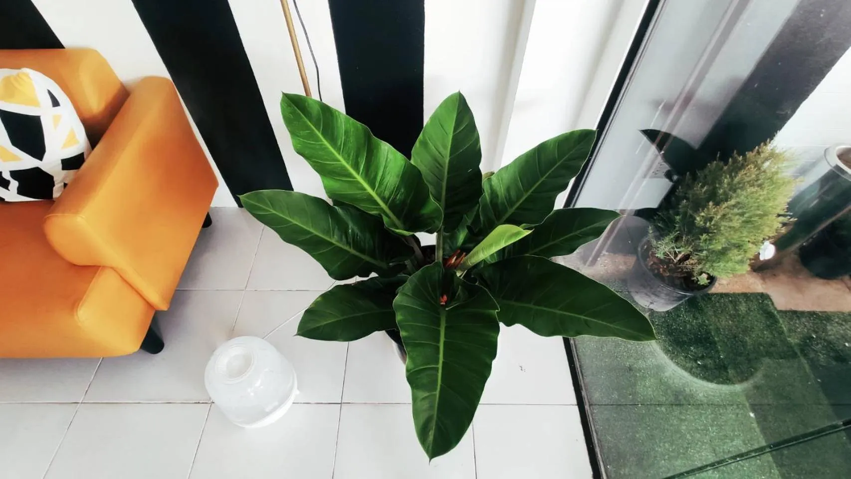 Nap at 265 Donmeaung