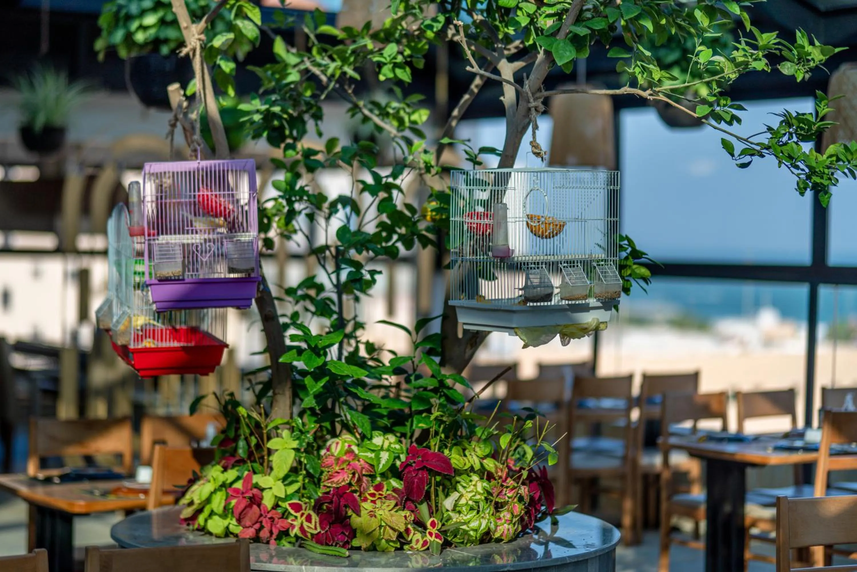 Restaurant/places to eat in Golden Tower Hotel Al Khobar Corniche