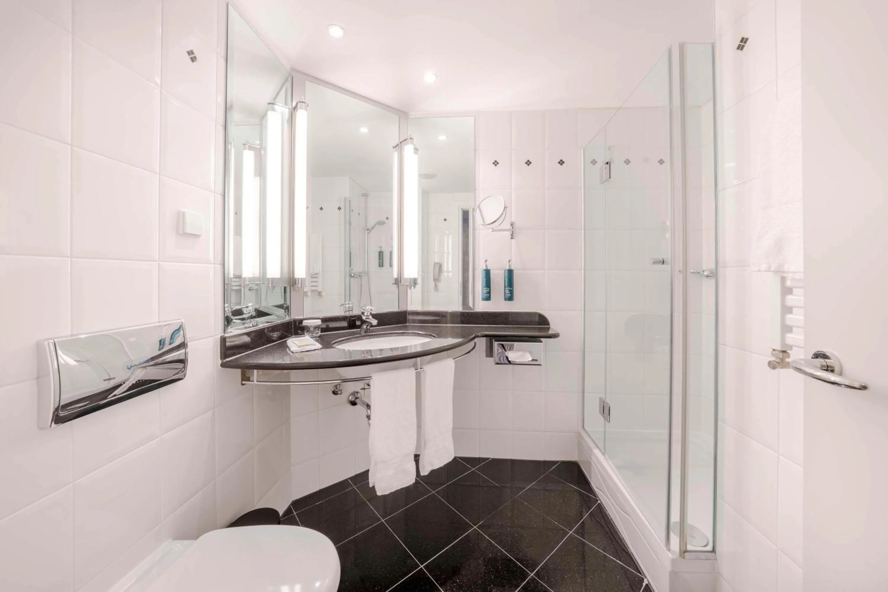 Toilet in Hilton Berlin