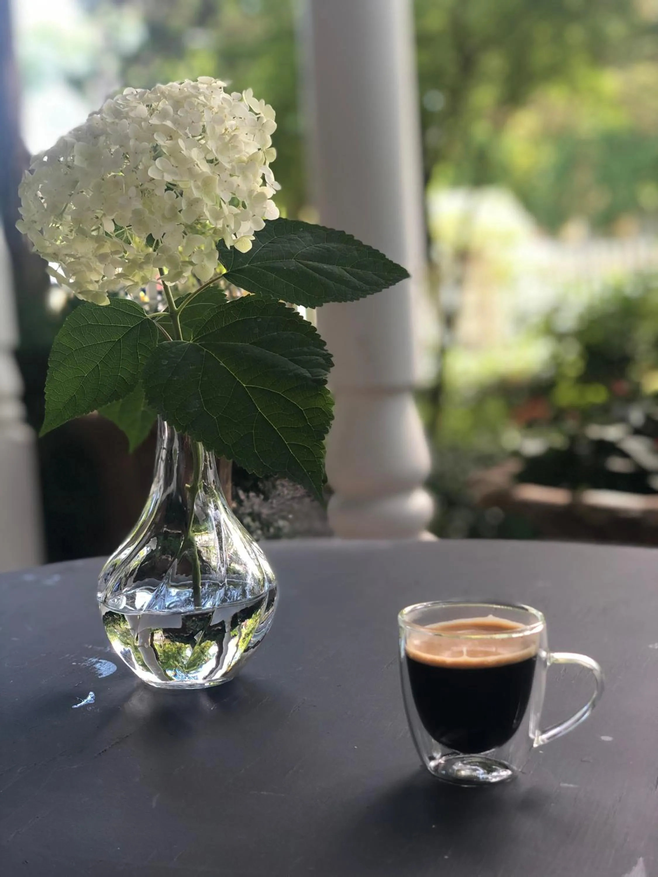 Food and drinks in Harrogate House Inn