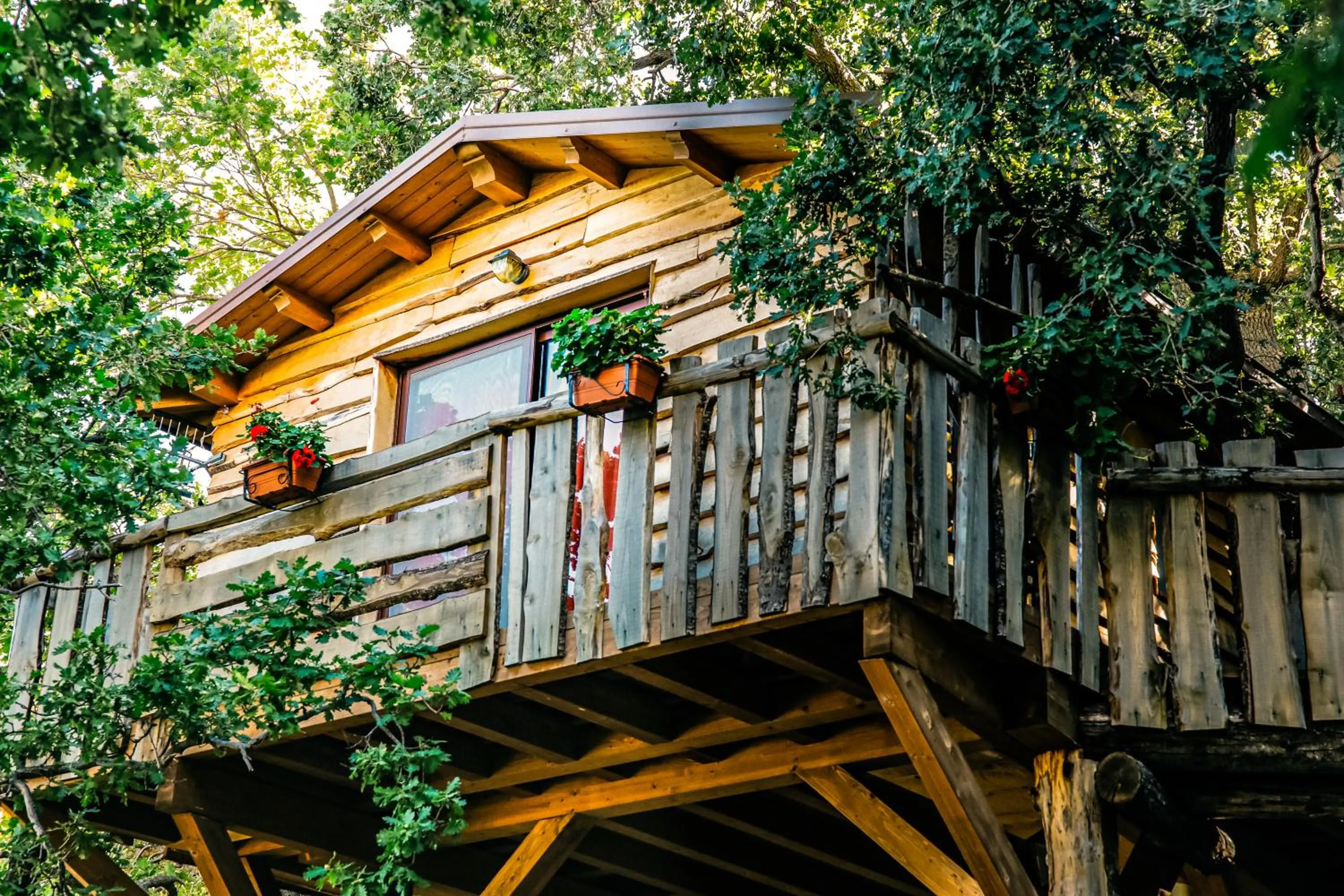 B & B Le Casette sull'albero di Villa Alba