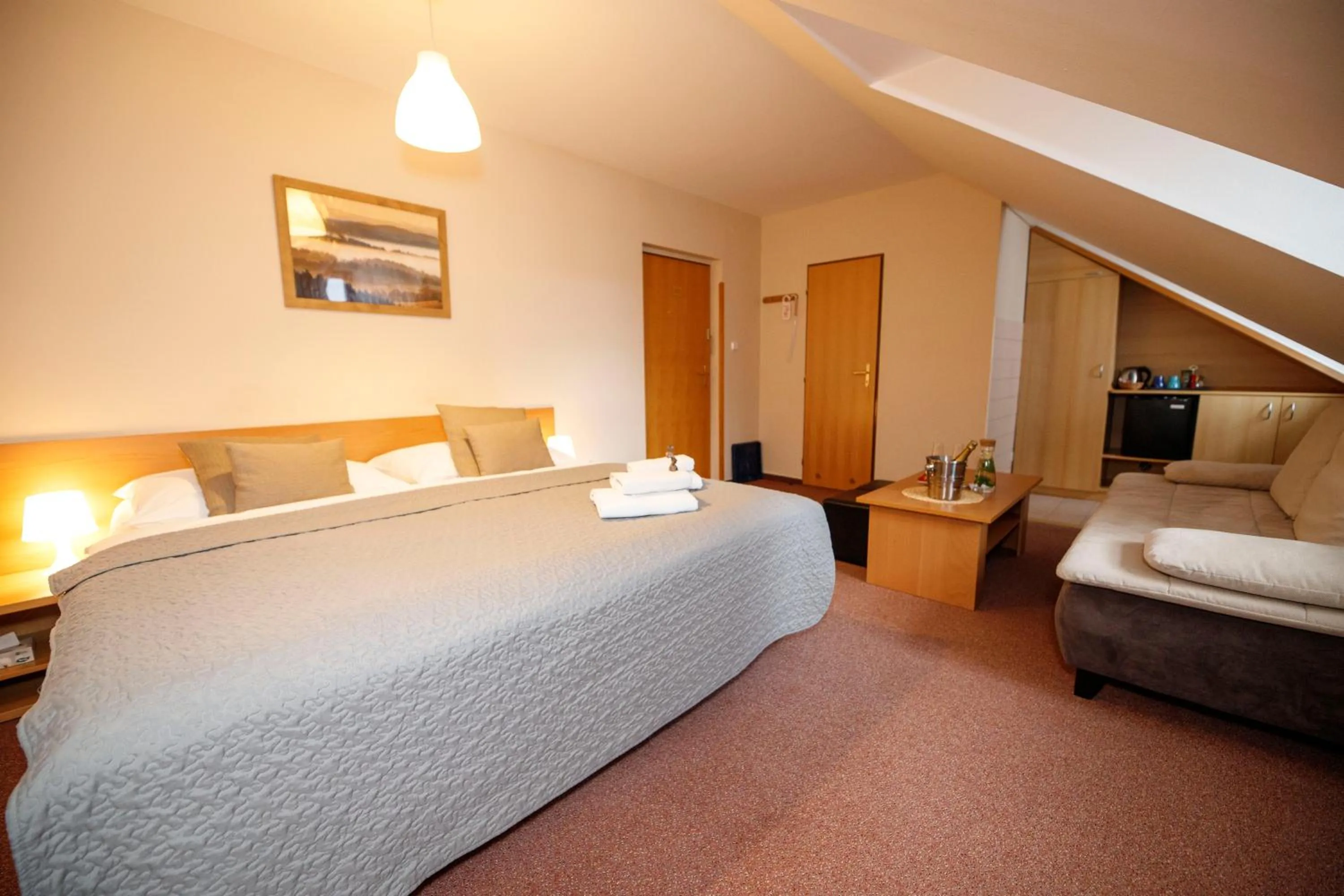 Bed in Hotel Modrásek