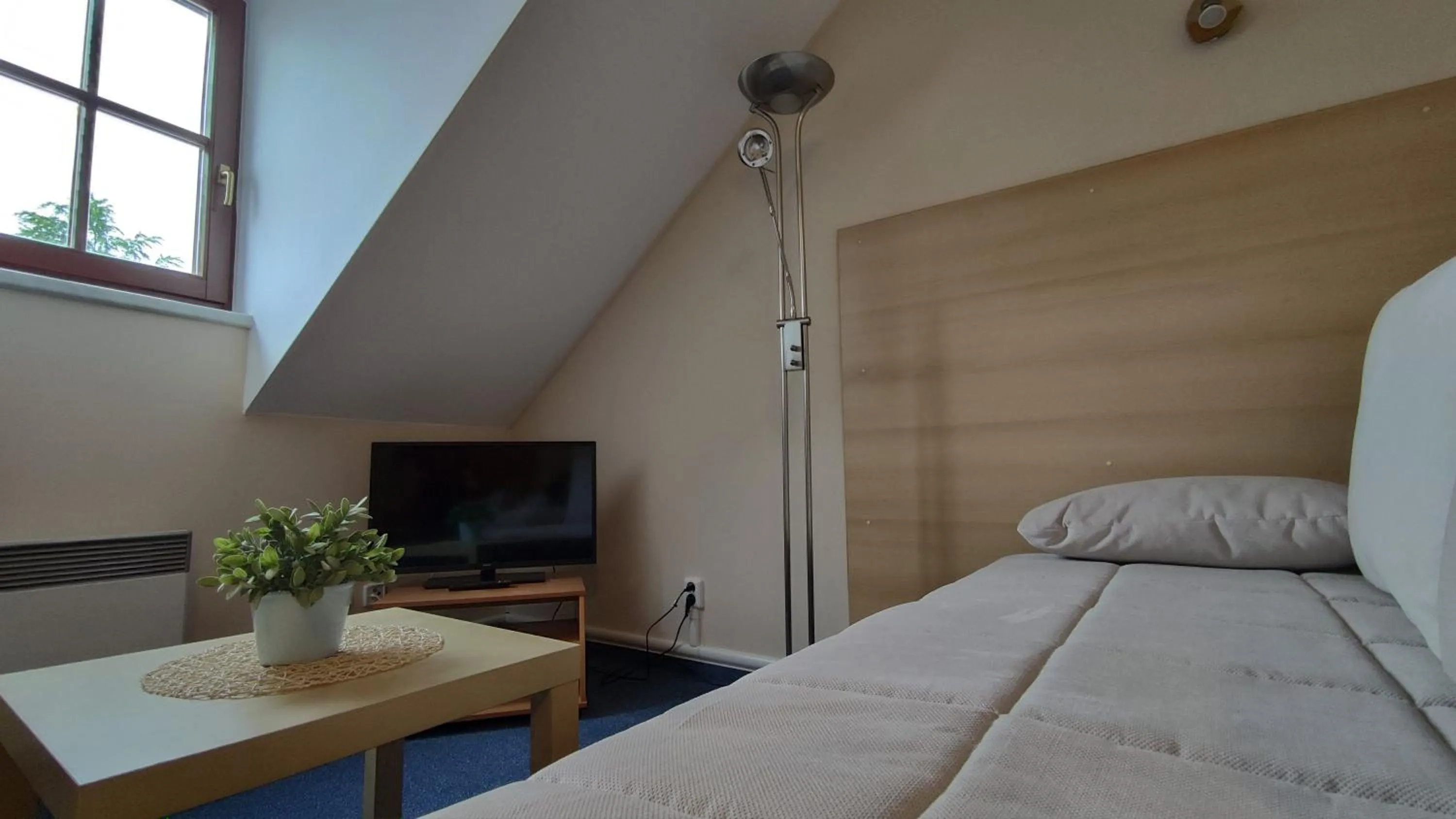 Bed in Hotel Modrásek