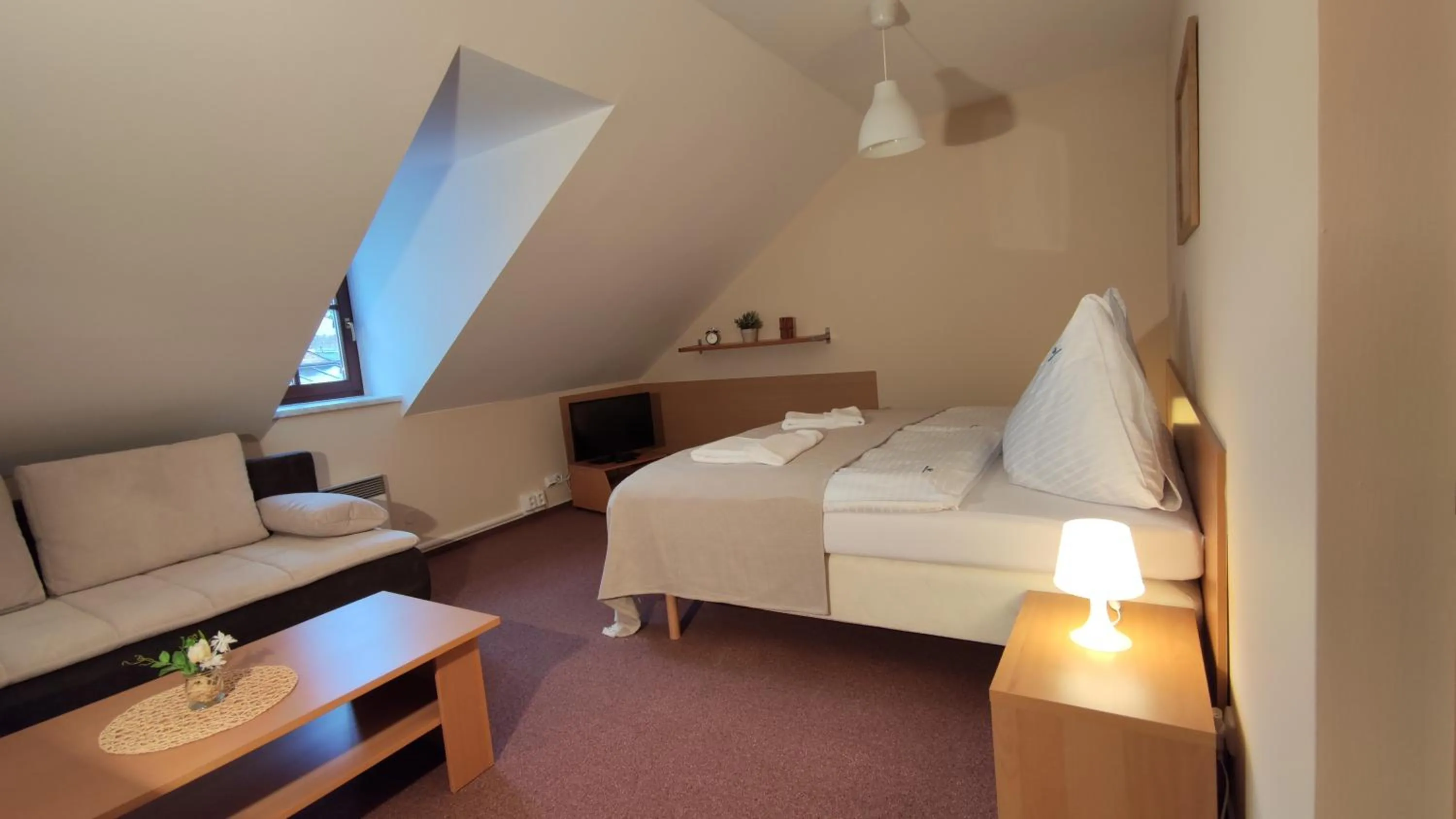 Bed in Hotel Modrásek