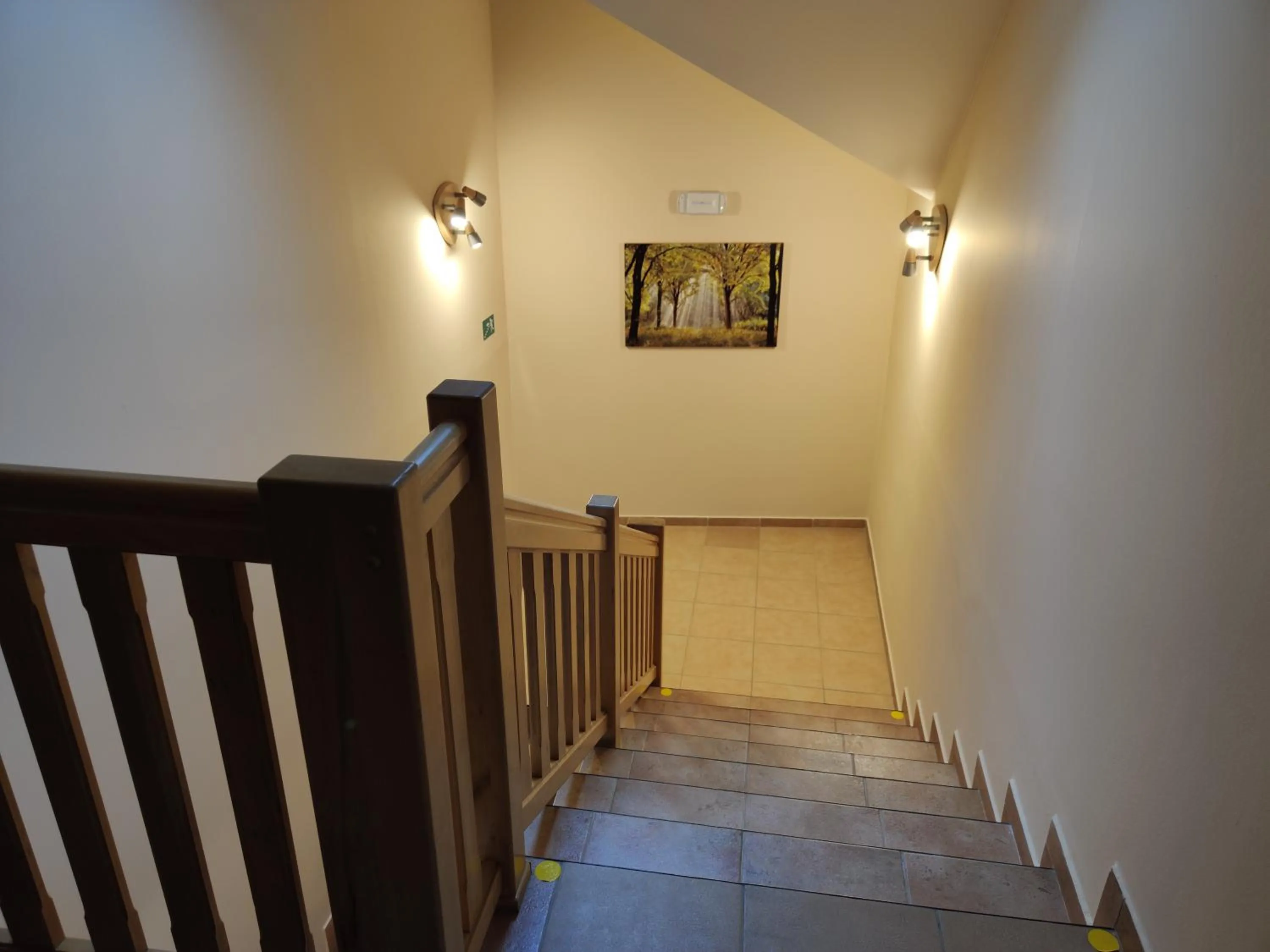 Area and facilities in Hotel Modrásek