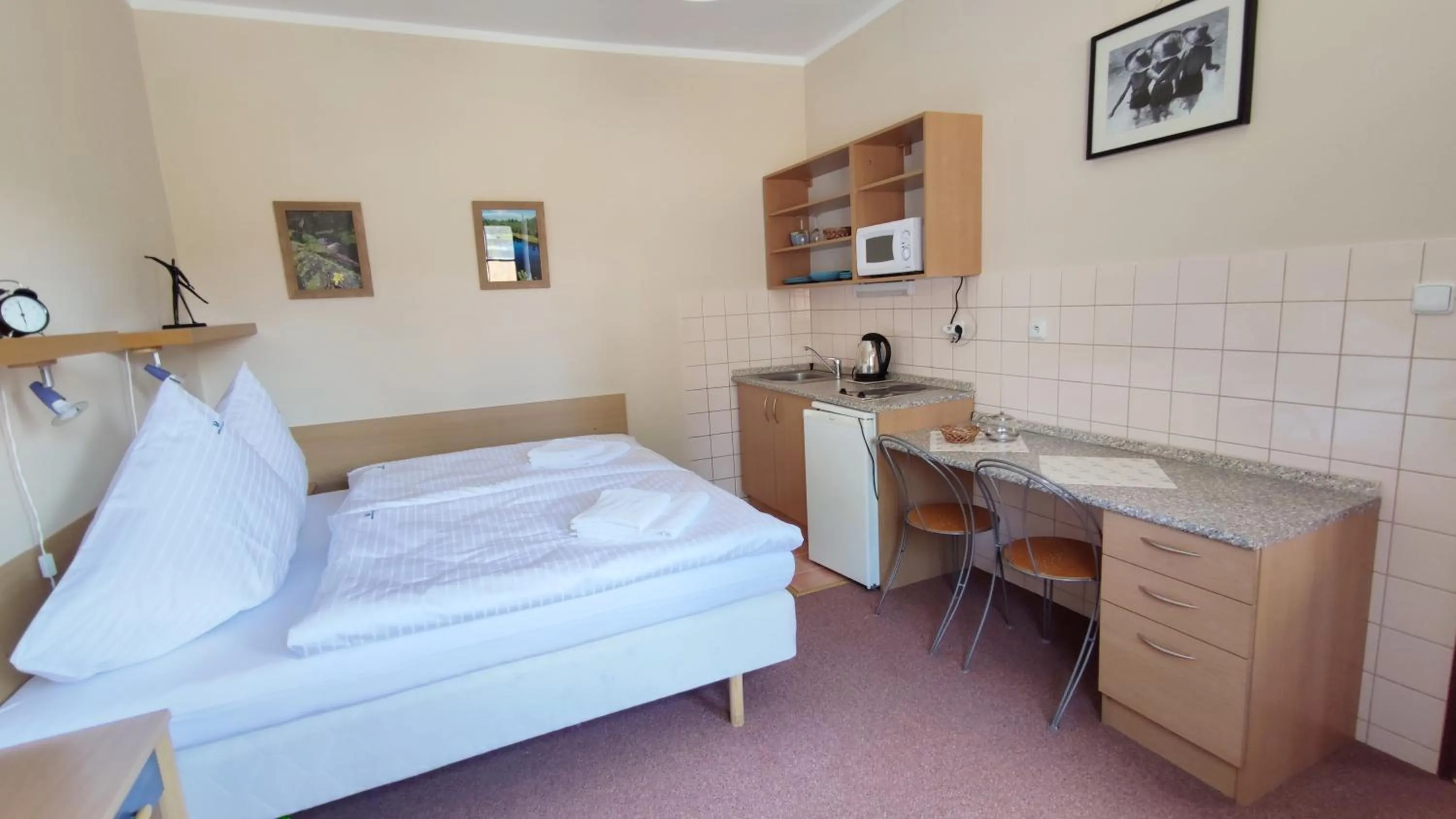 Bed in Hotel Modrásek