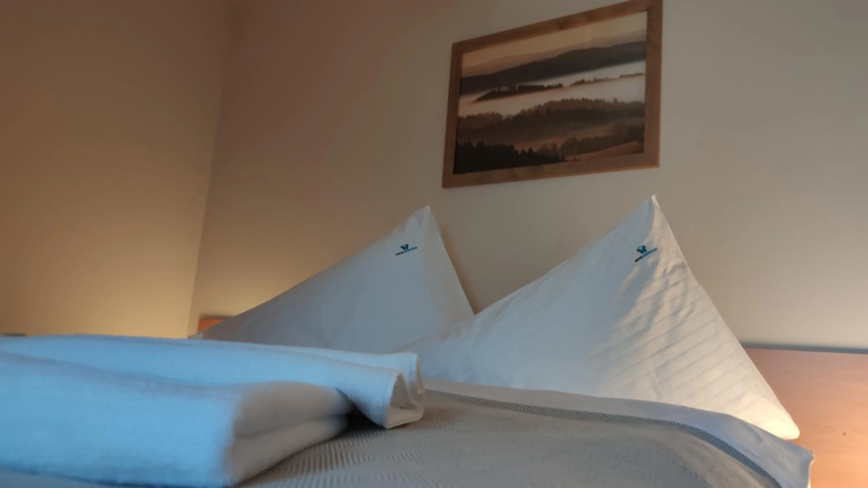 Bed in Hotel Modrásek