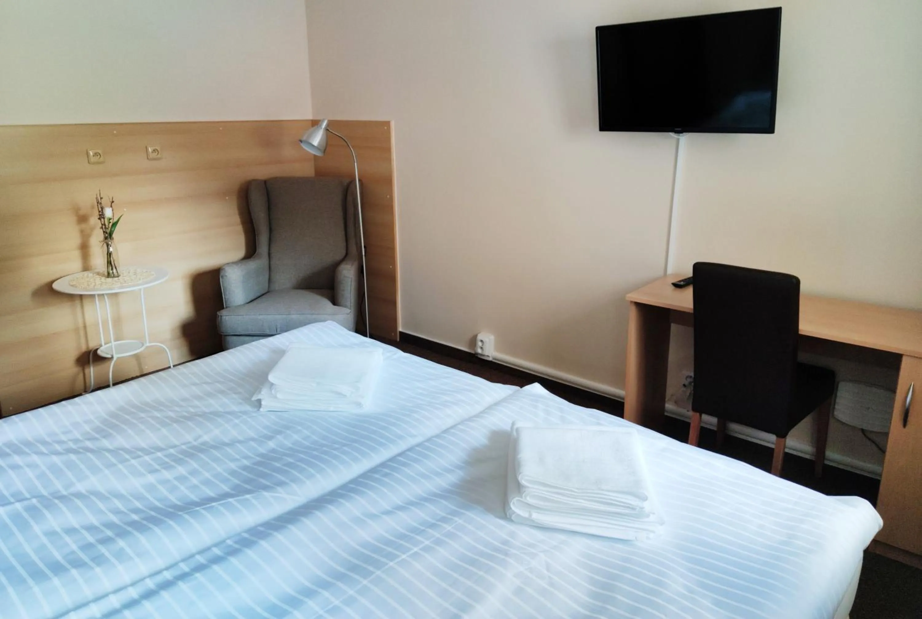 Bed in Hotel Modrásek