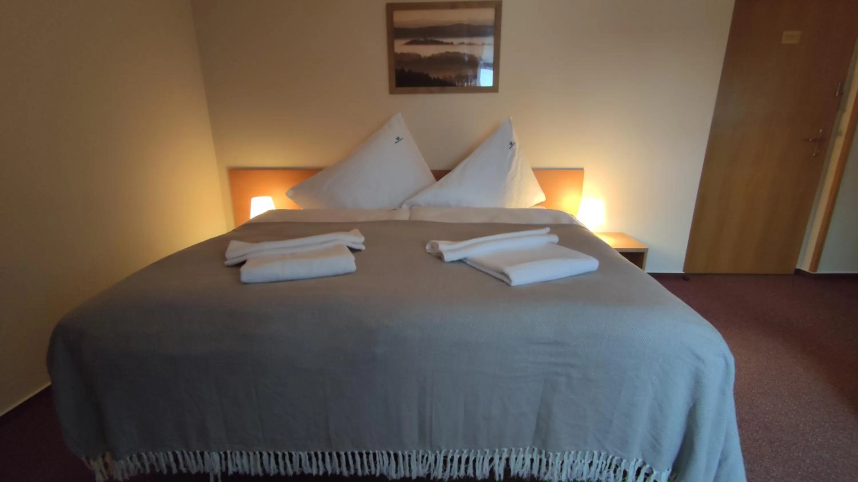 Bed in Hotel Modrásek