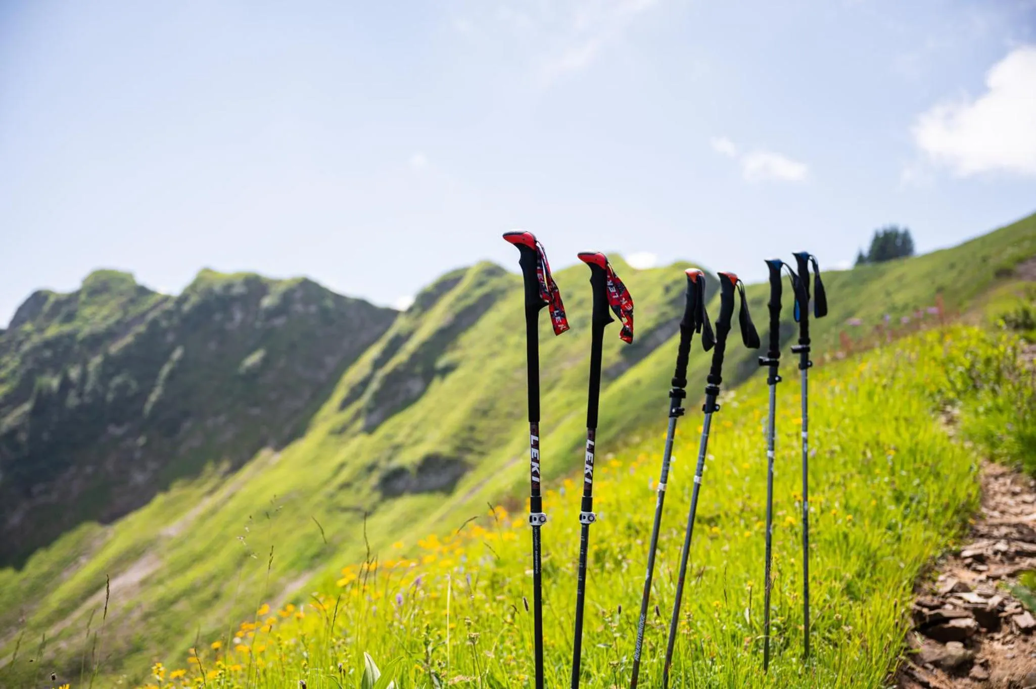 Hiking in Hotel Filser