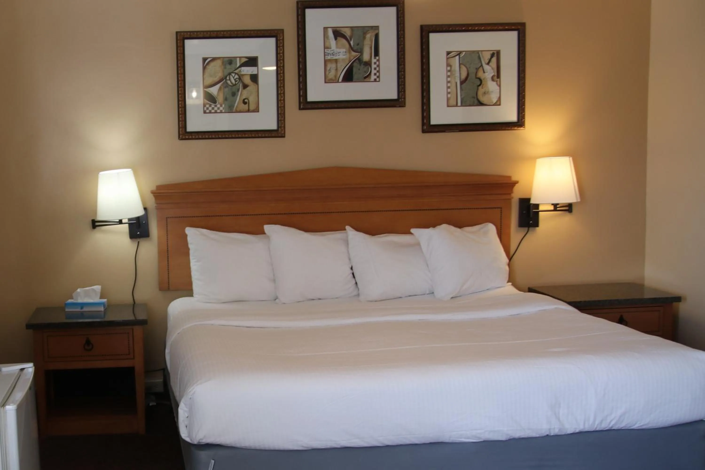 Photo of the whole room, Bed in Townhouse Motel