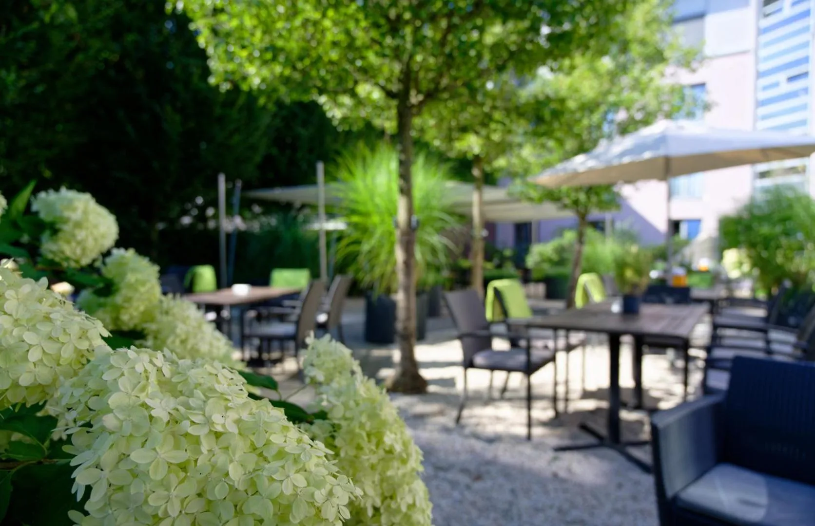 Patio in Hotel am Kloster