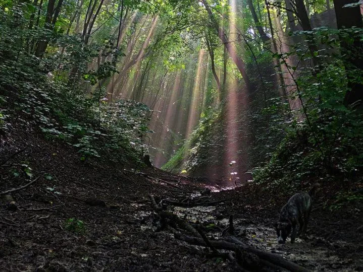 Hotel Spichlerz Pierwszy SPA & WELLNESS