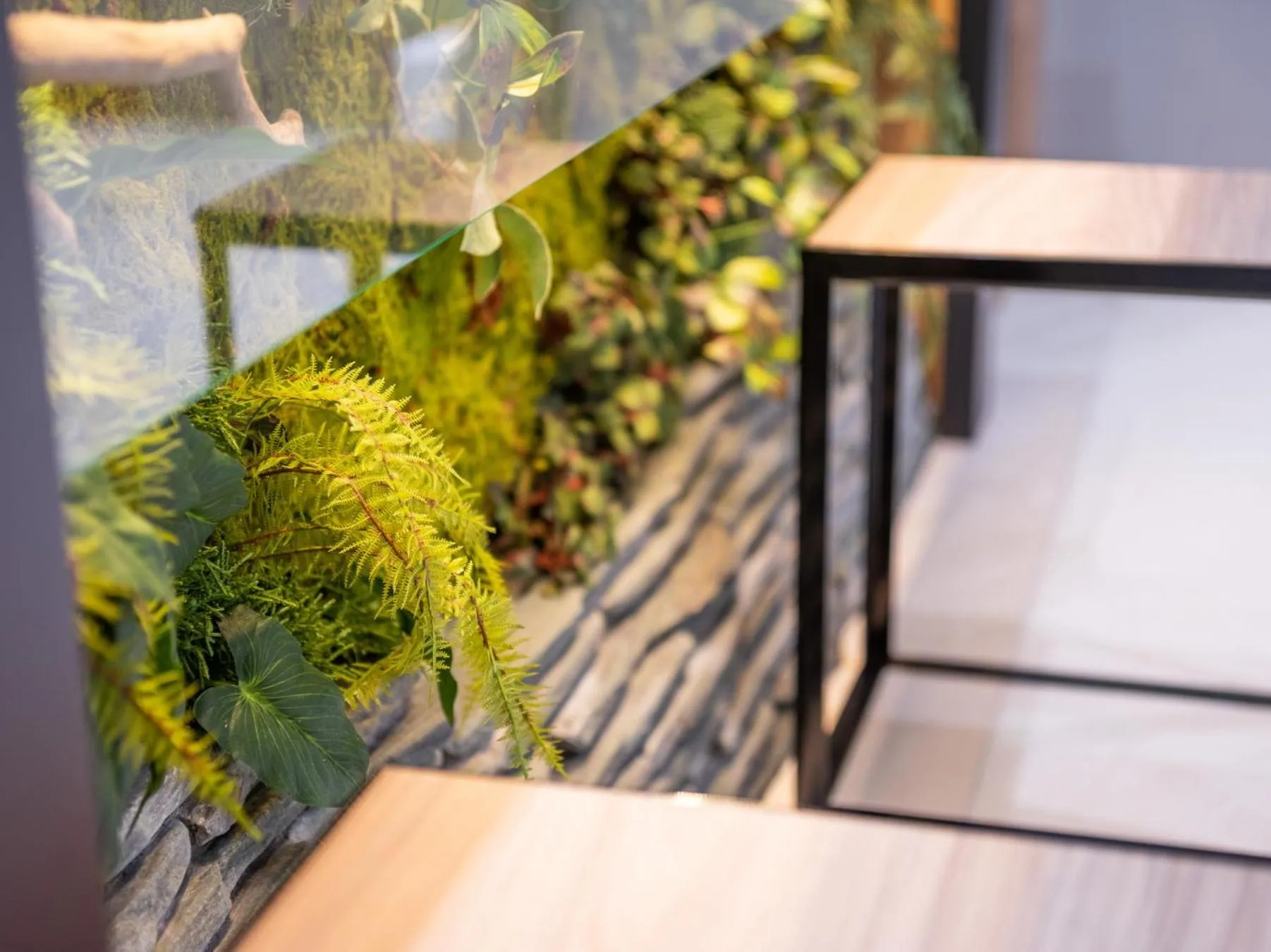 Super Hotel Iyo Saijo