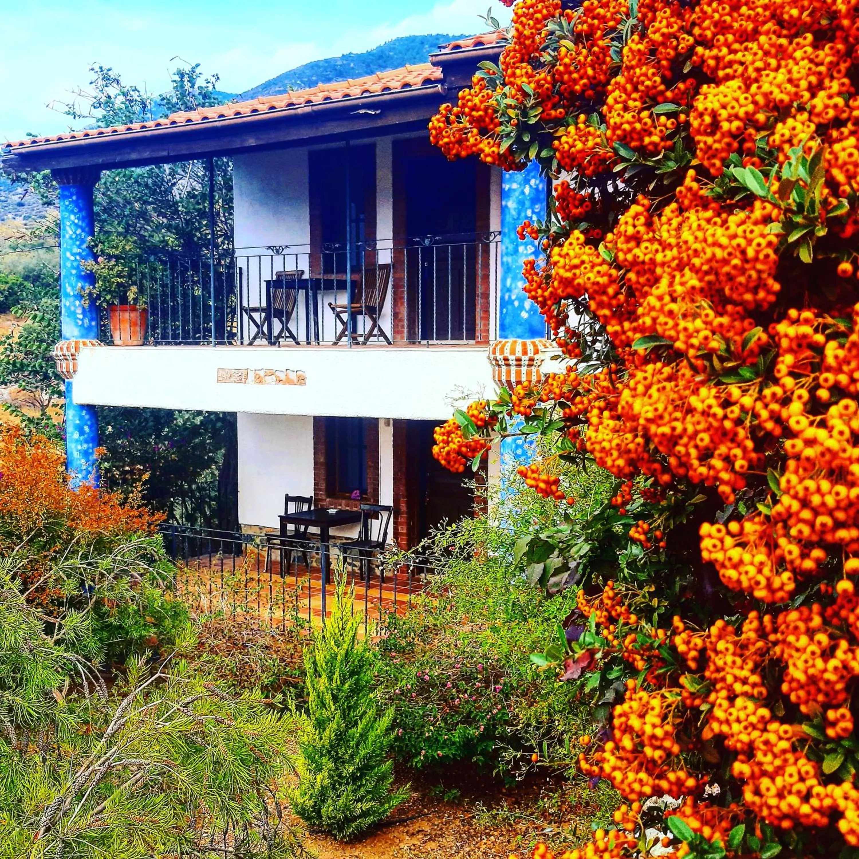 Şato Triopia Butik Otel