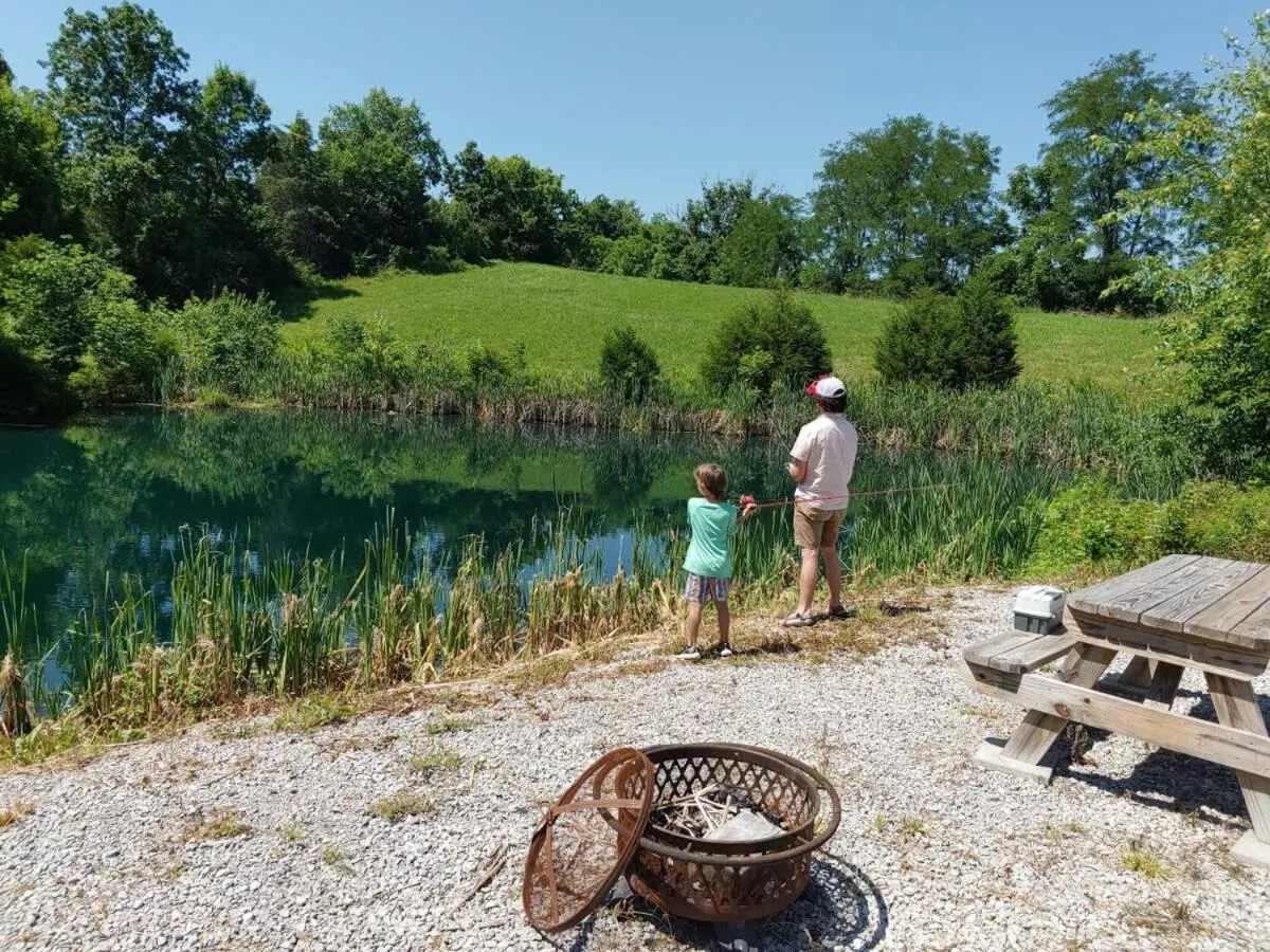 Country Lodge for 18, With Pool and Pond, Near Ark