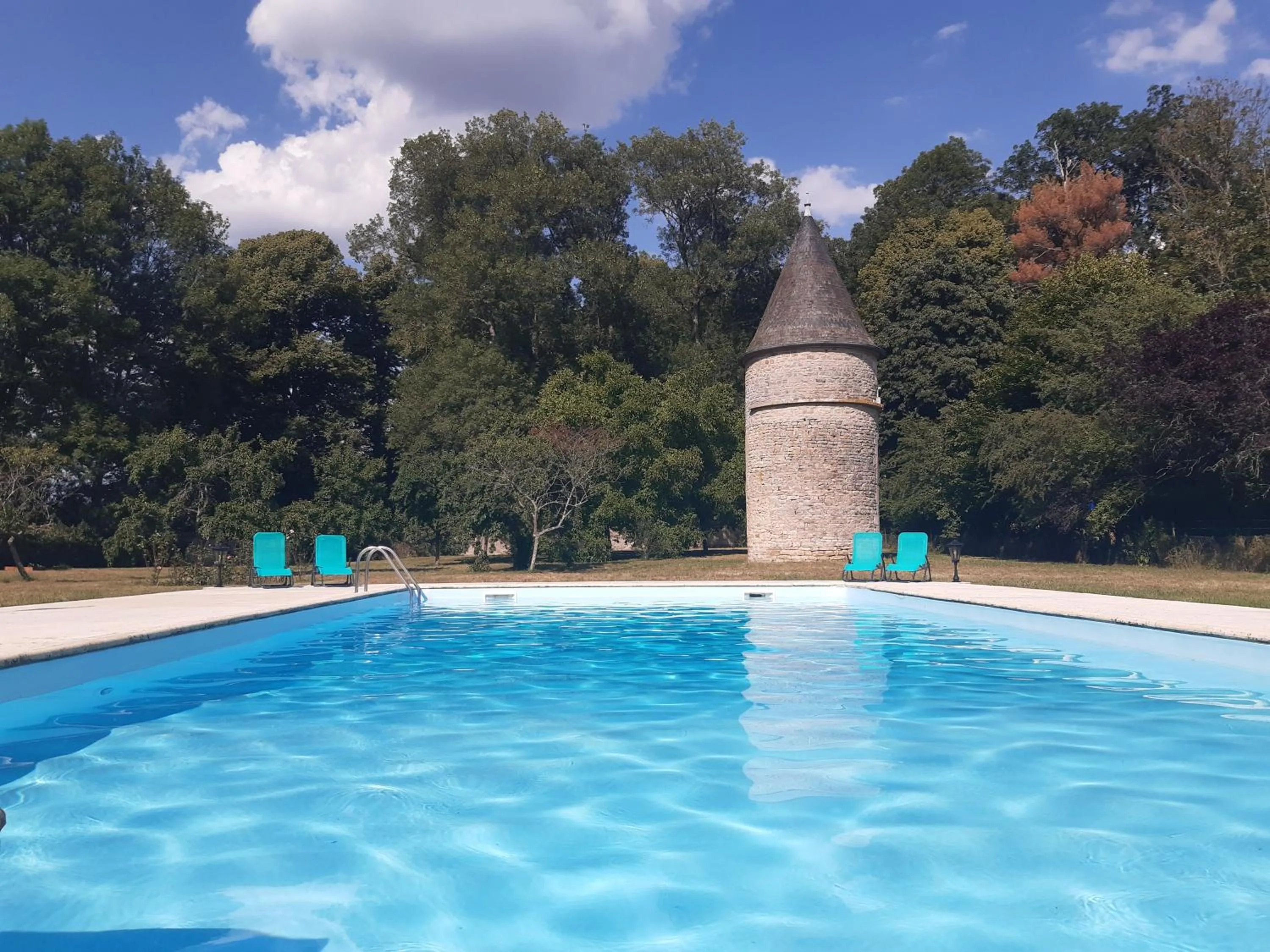 Swimming pool in Château de Mongazon