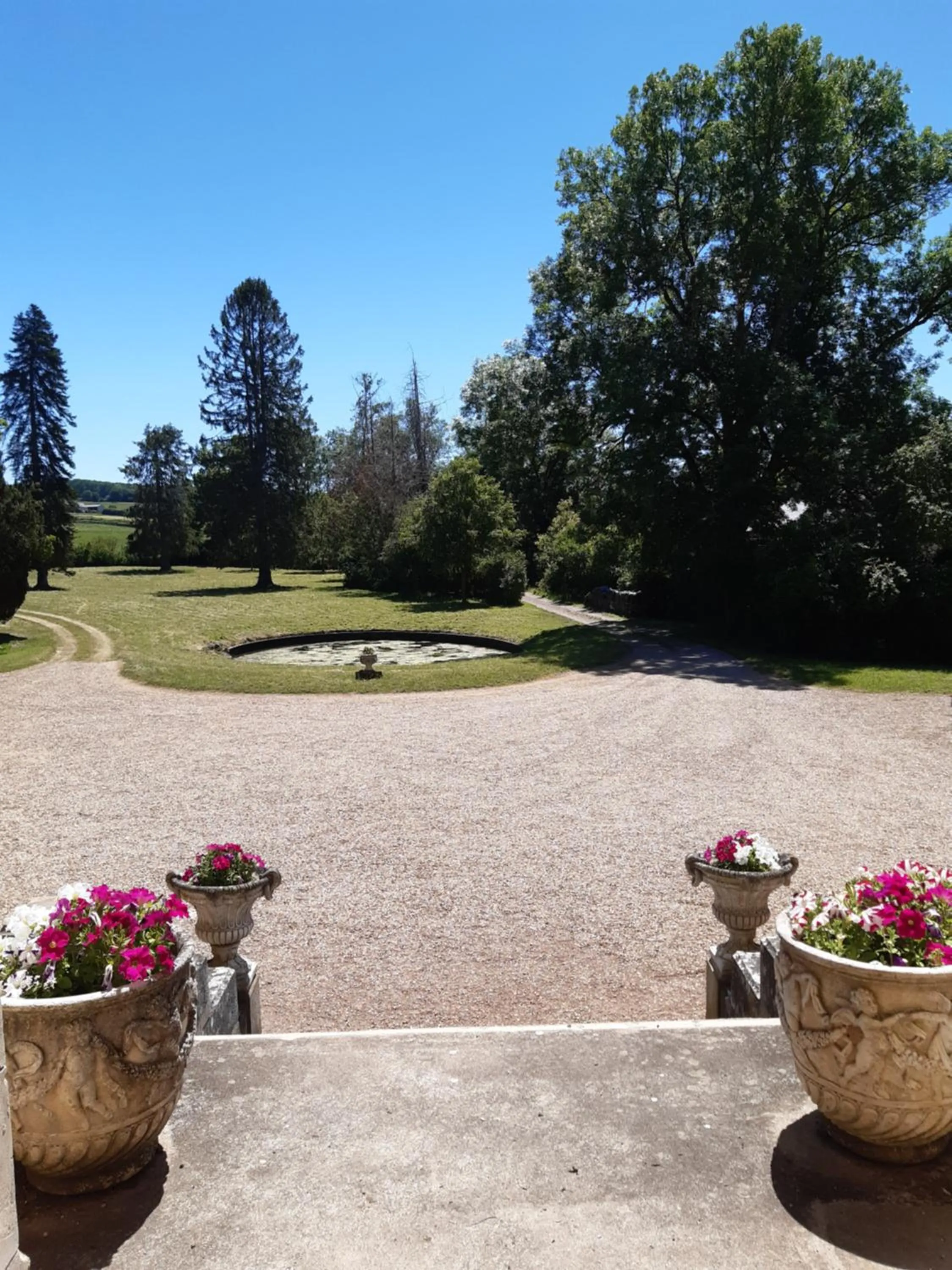 Garden in Château de Mongazon