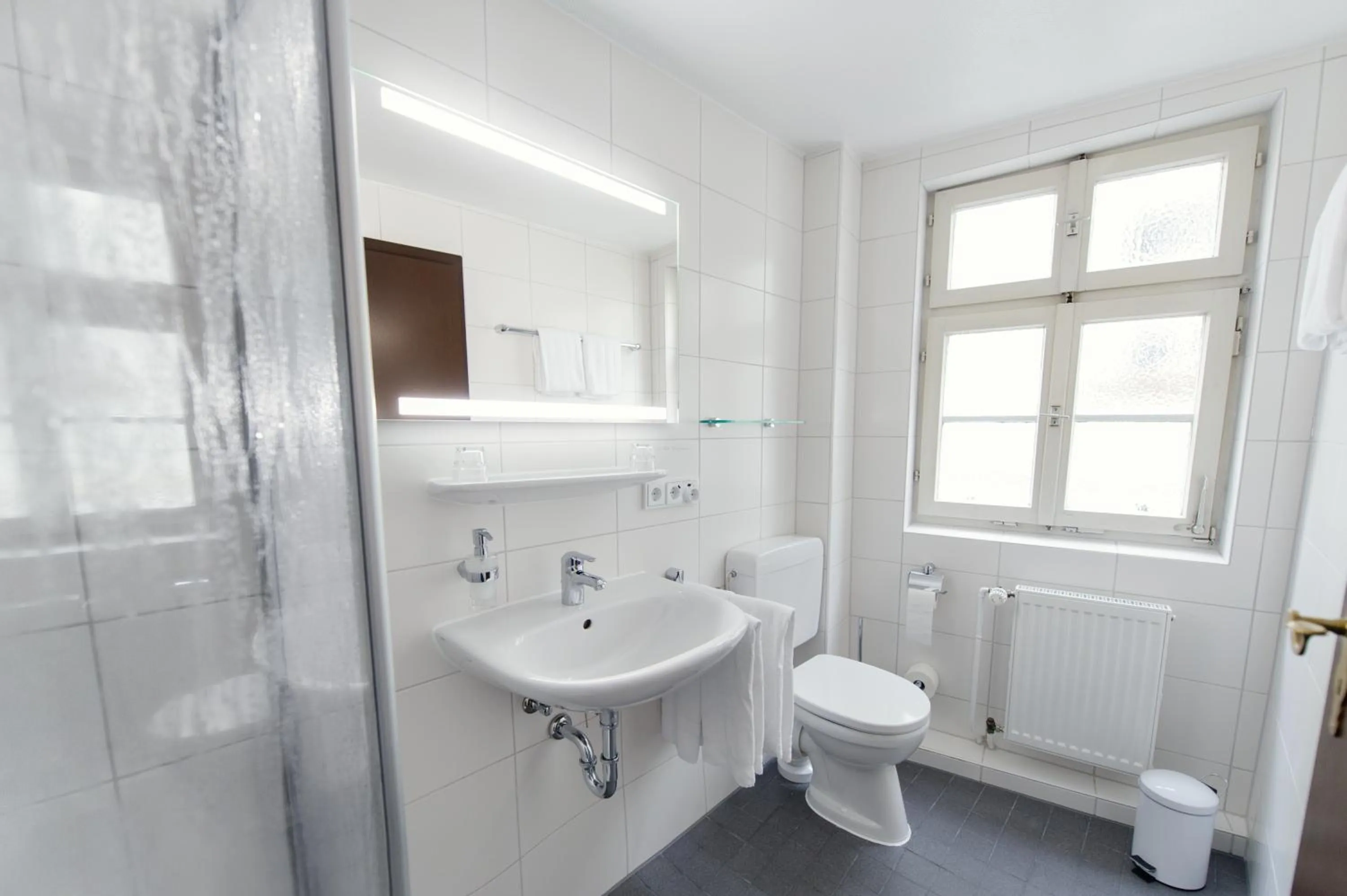 Day in Hotel Alt-Ringlein