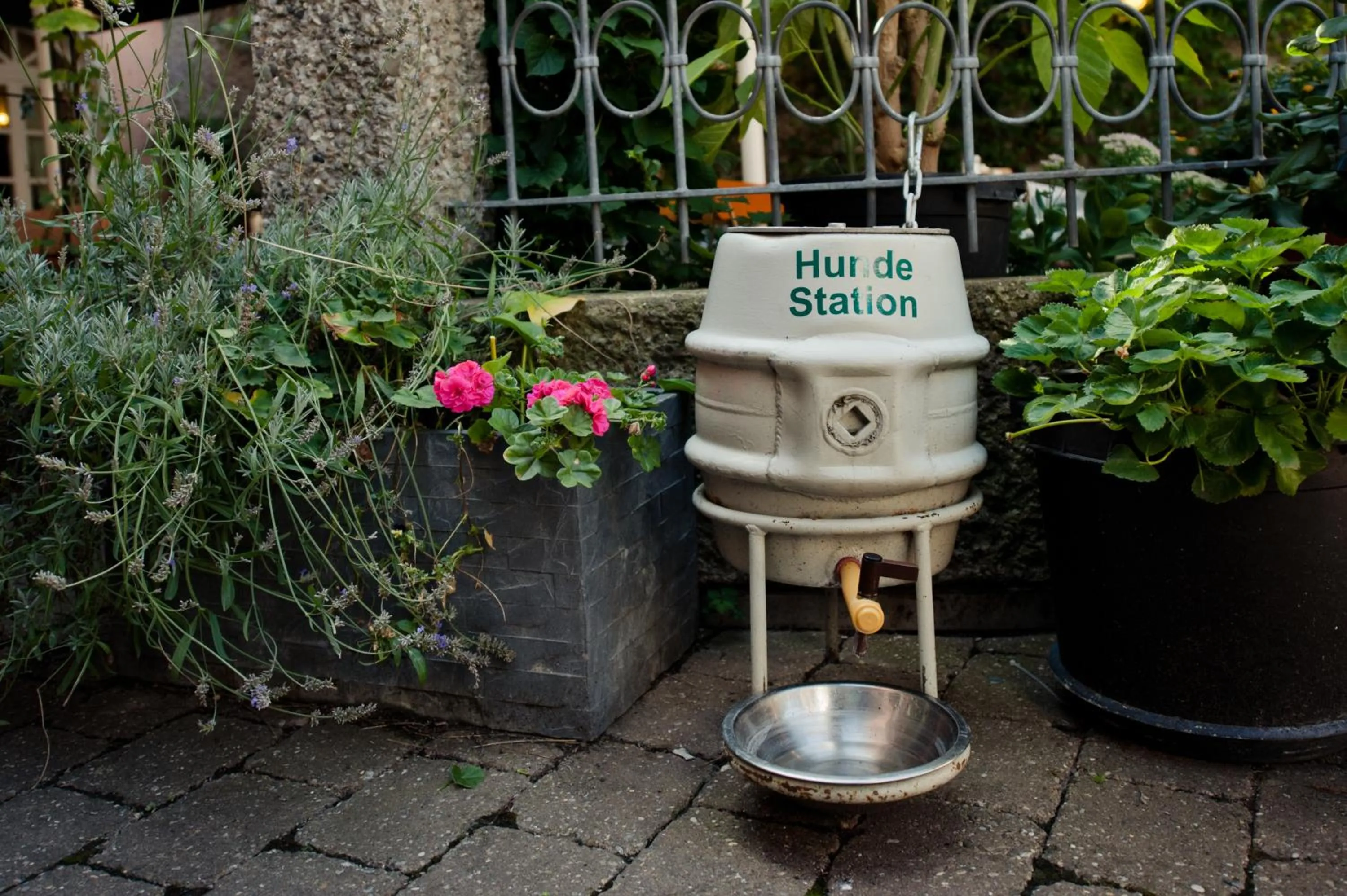 Other in Hotel Alt-Ringlein