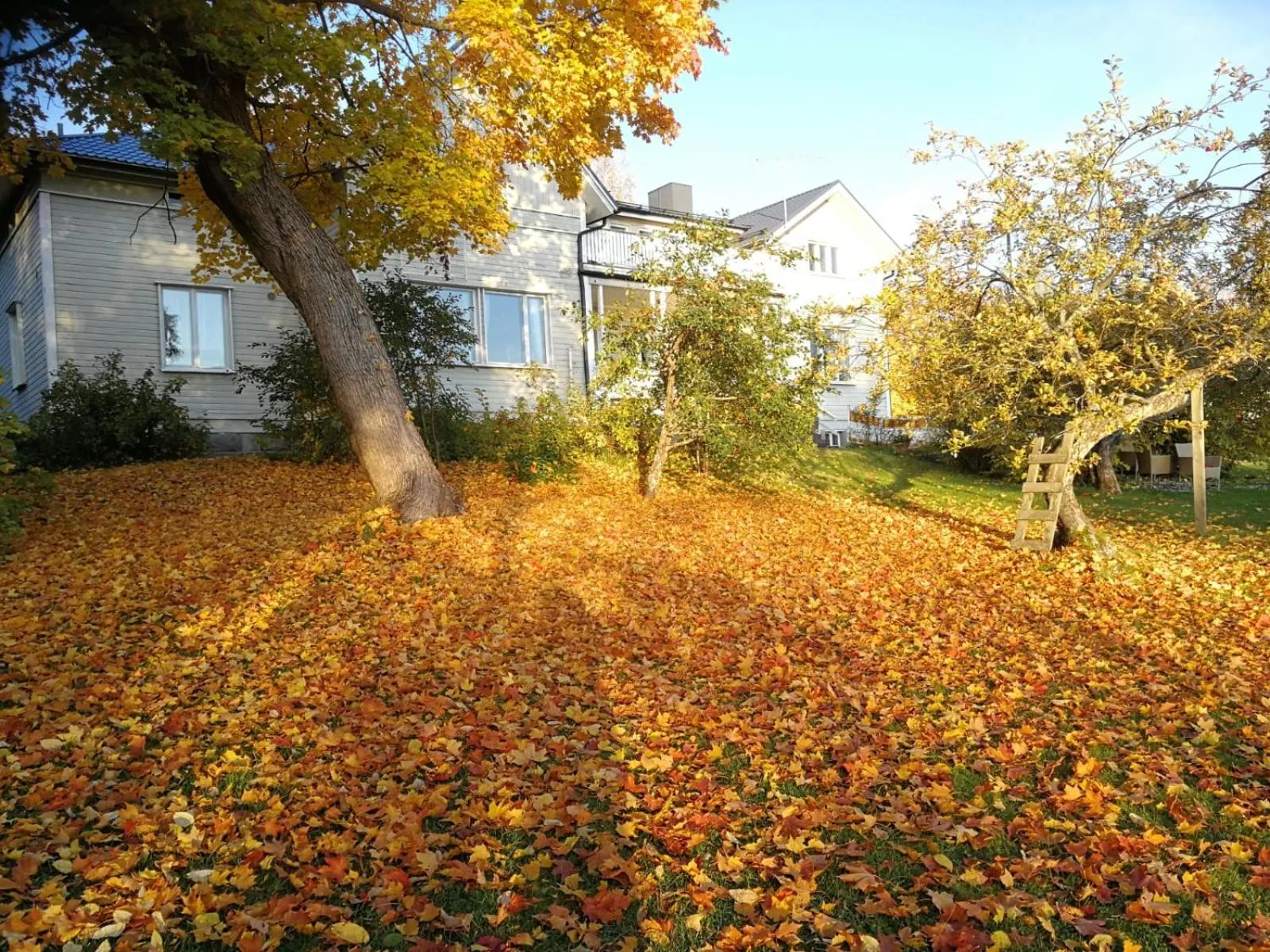 Property building in Saarijärven Ruustinna Oy
