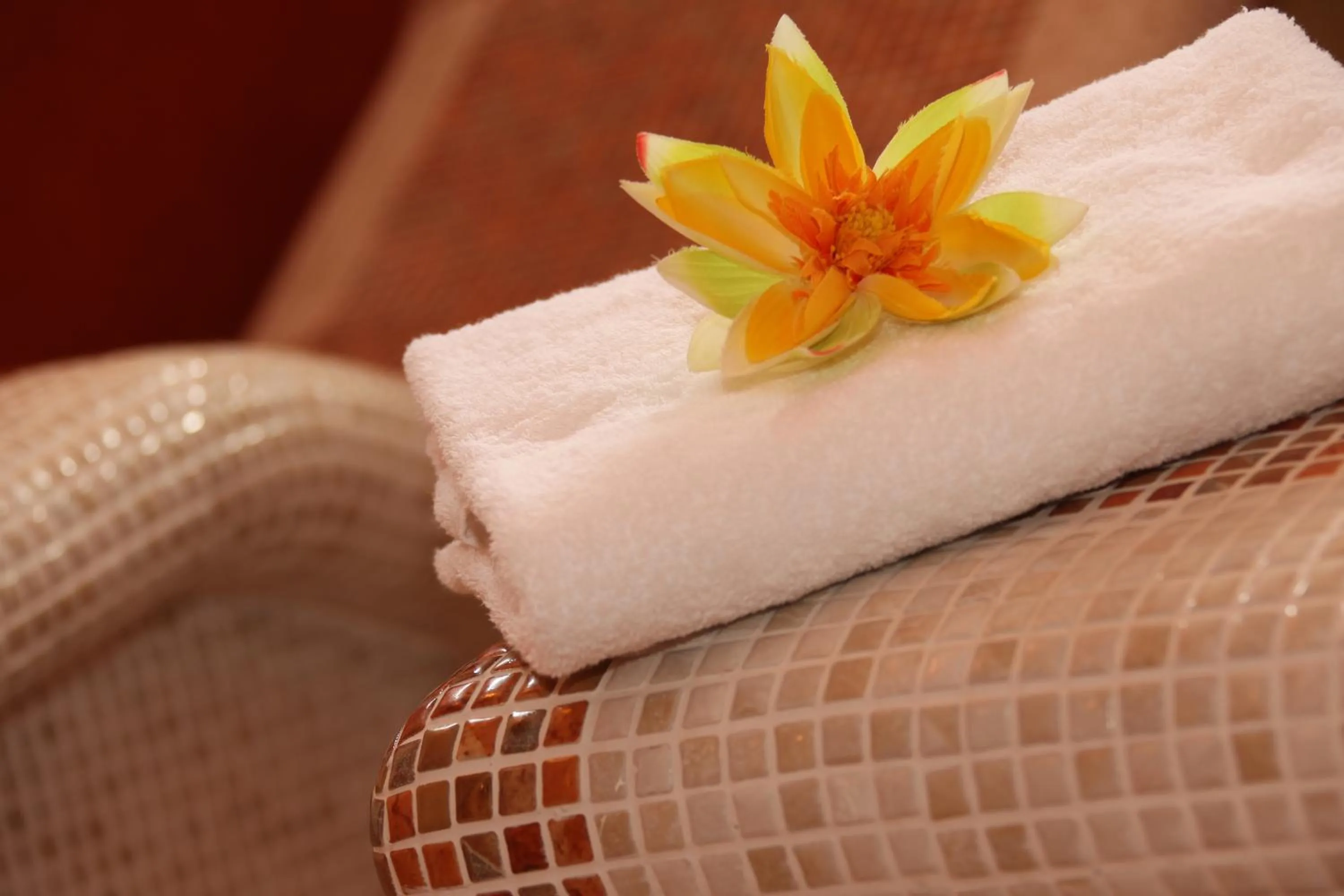 Other in Strandhotel Deichgraf Graal-Müritz