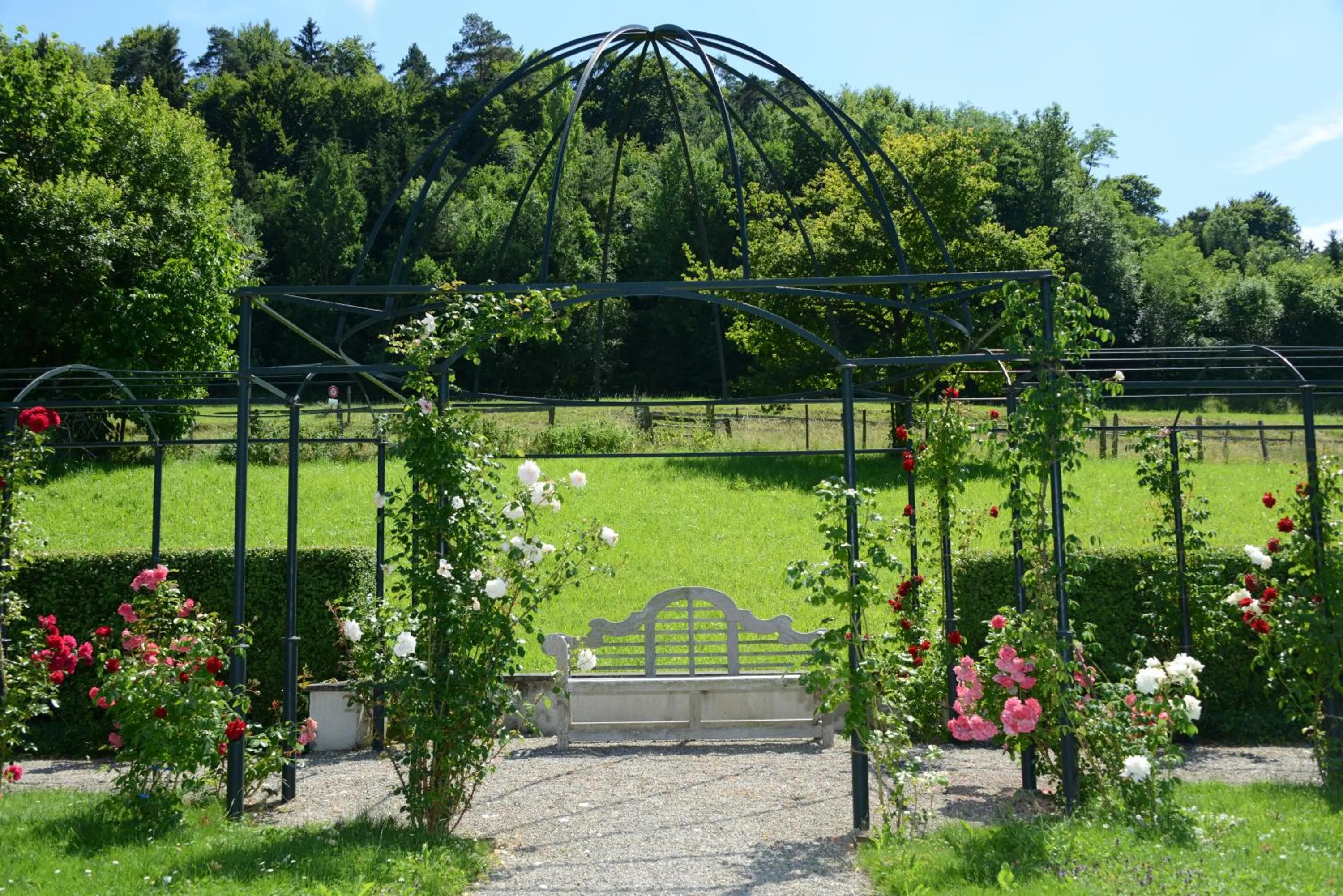 Garden in Schloss Freudenfels