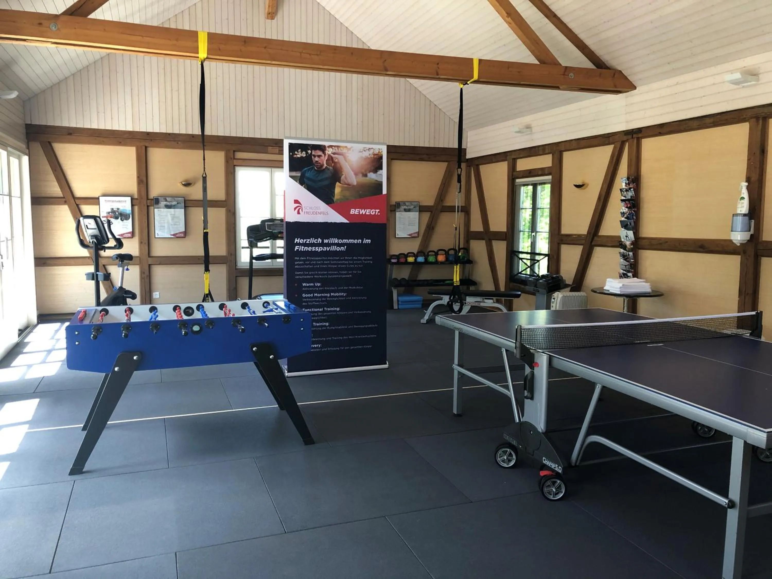 Table tennis in Schloss Freudenfels