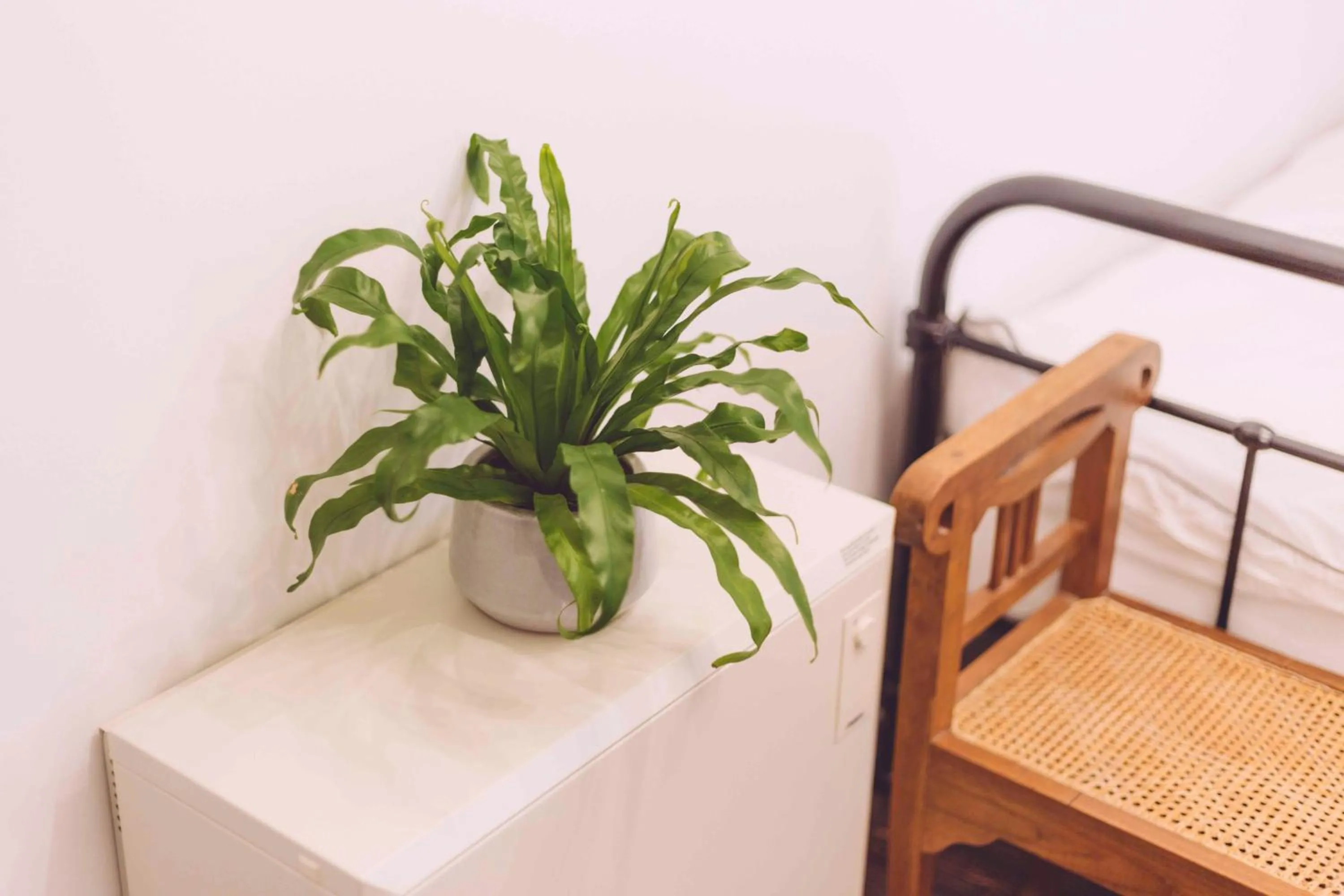 Decorative detail in EDELFUCHS-LODGE