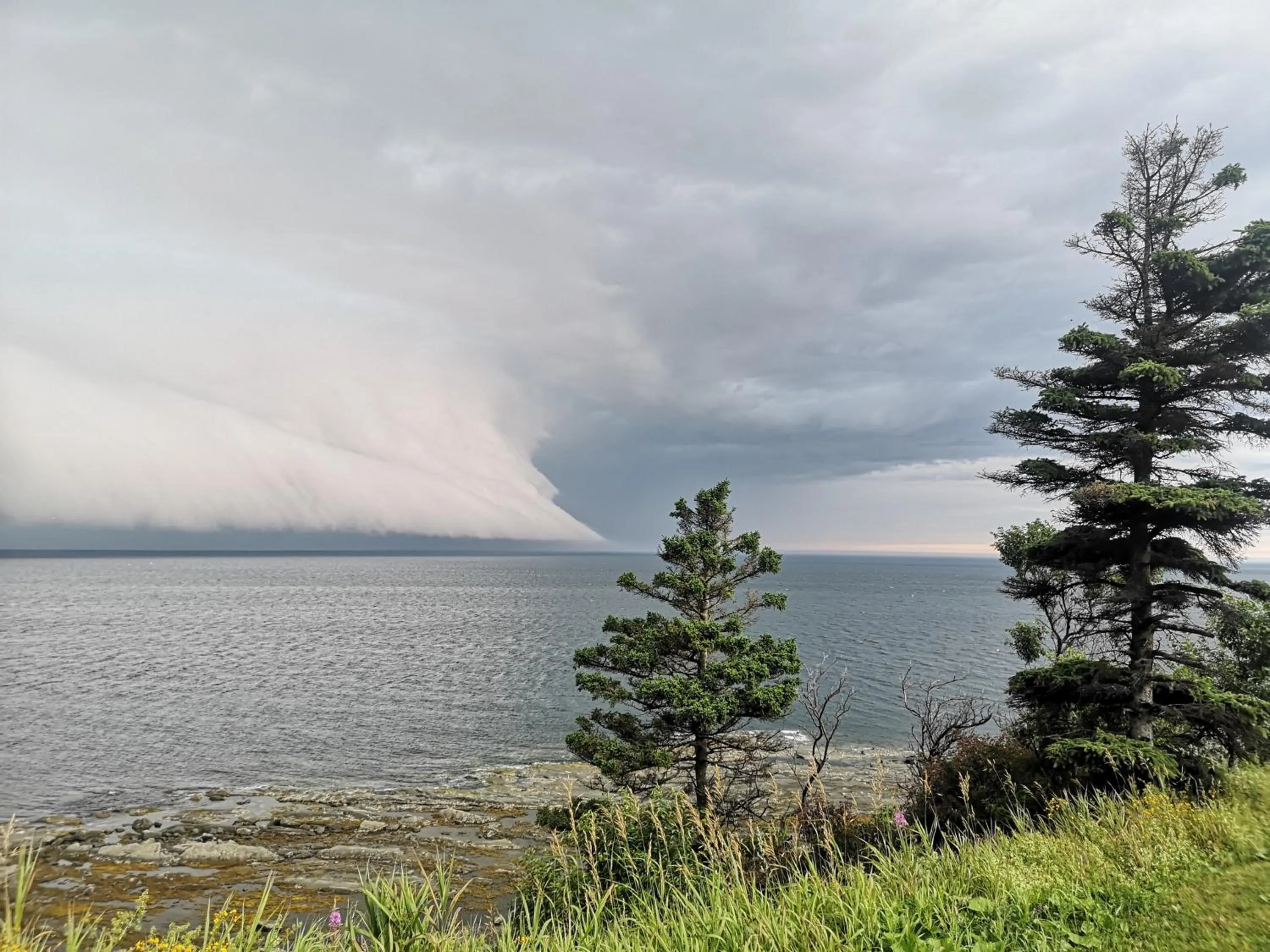 Natural landscape in Lofts Hôtel Gaspésie