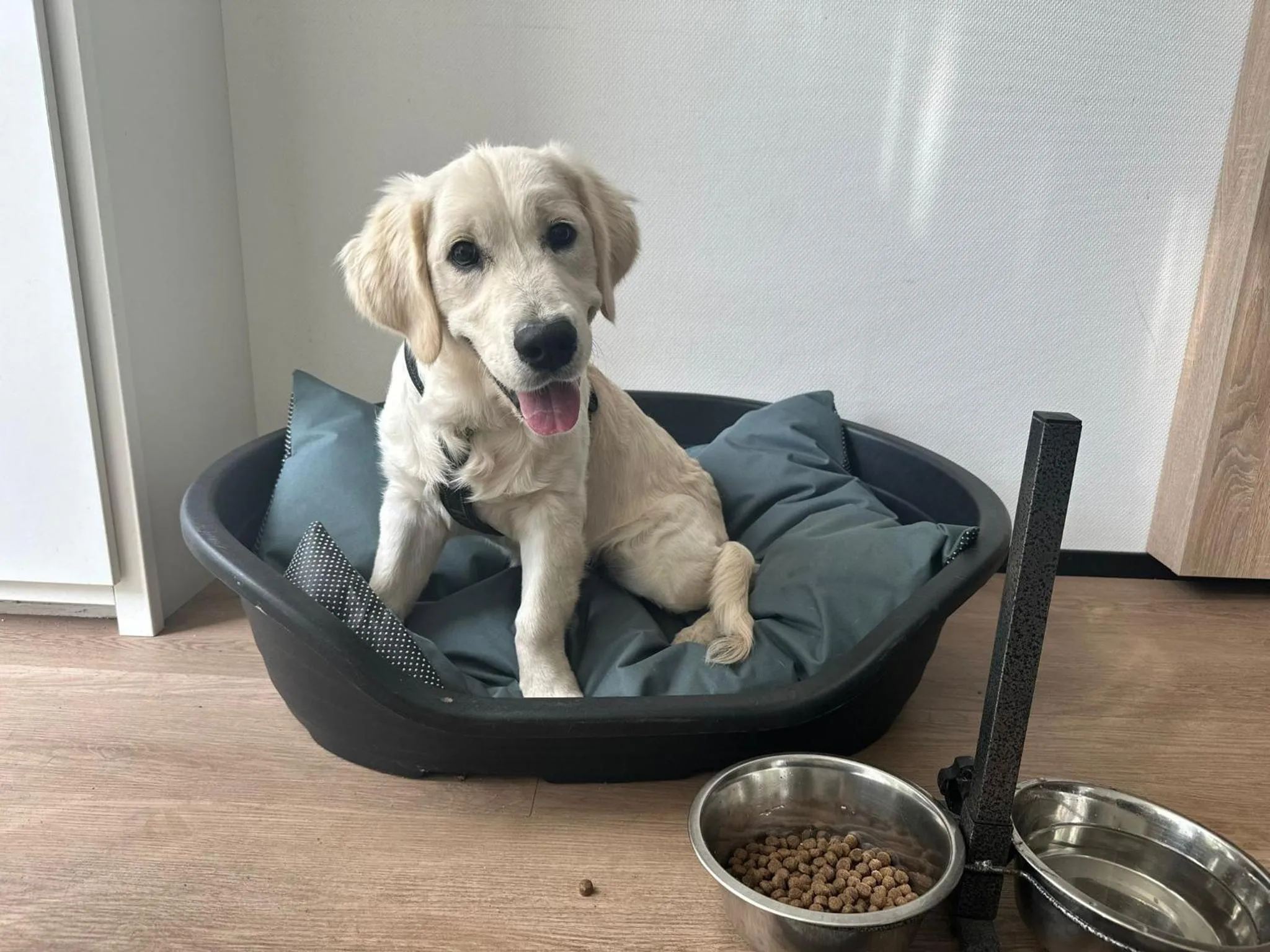 Property building in B&B Hotel De Vrije Vogel