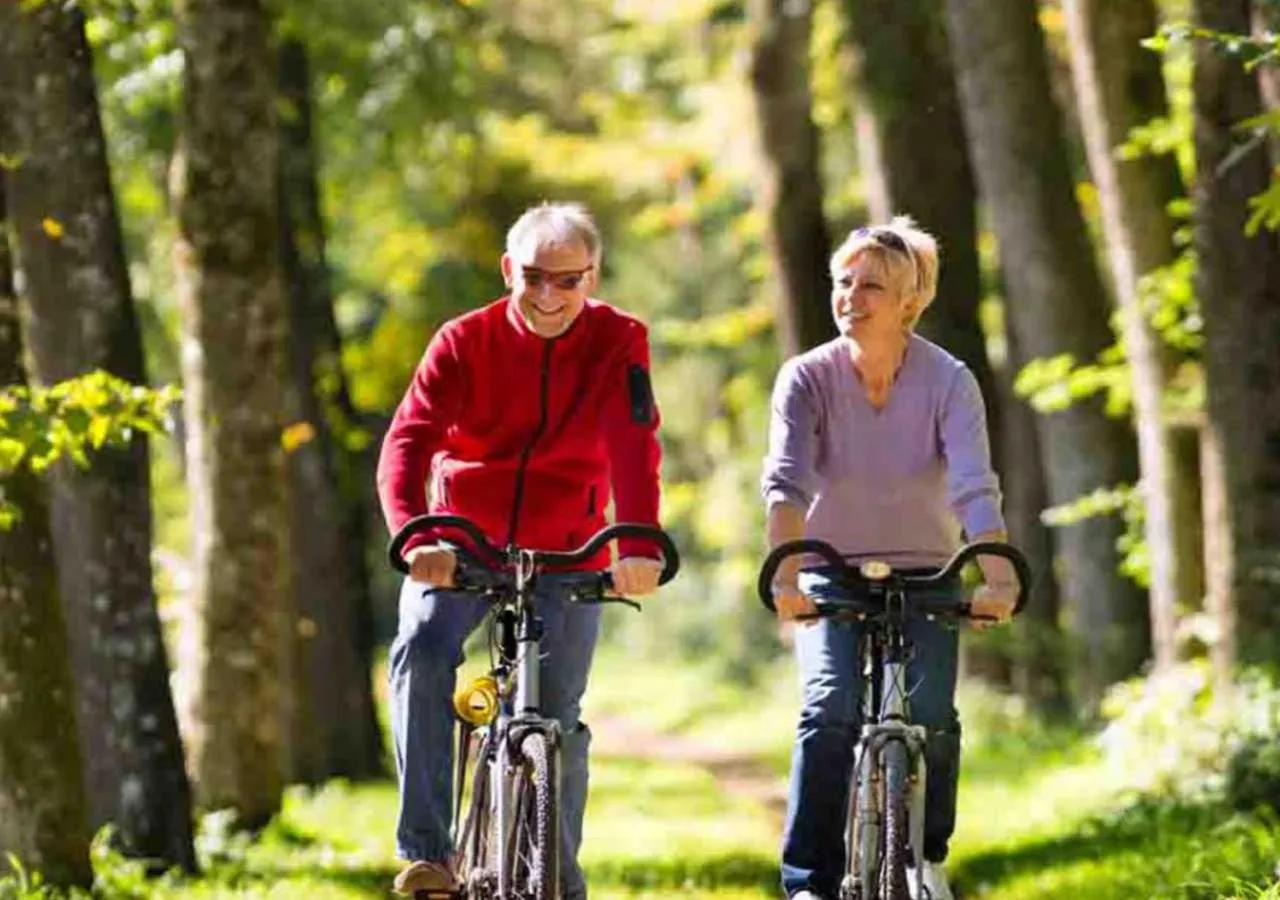 Neighbourhood in B&B Hotel De Vrije Vogel