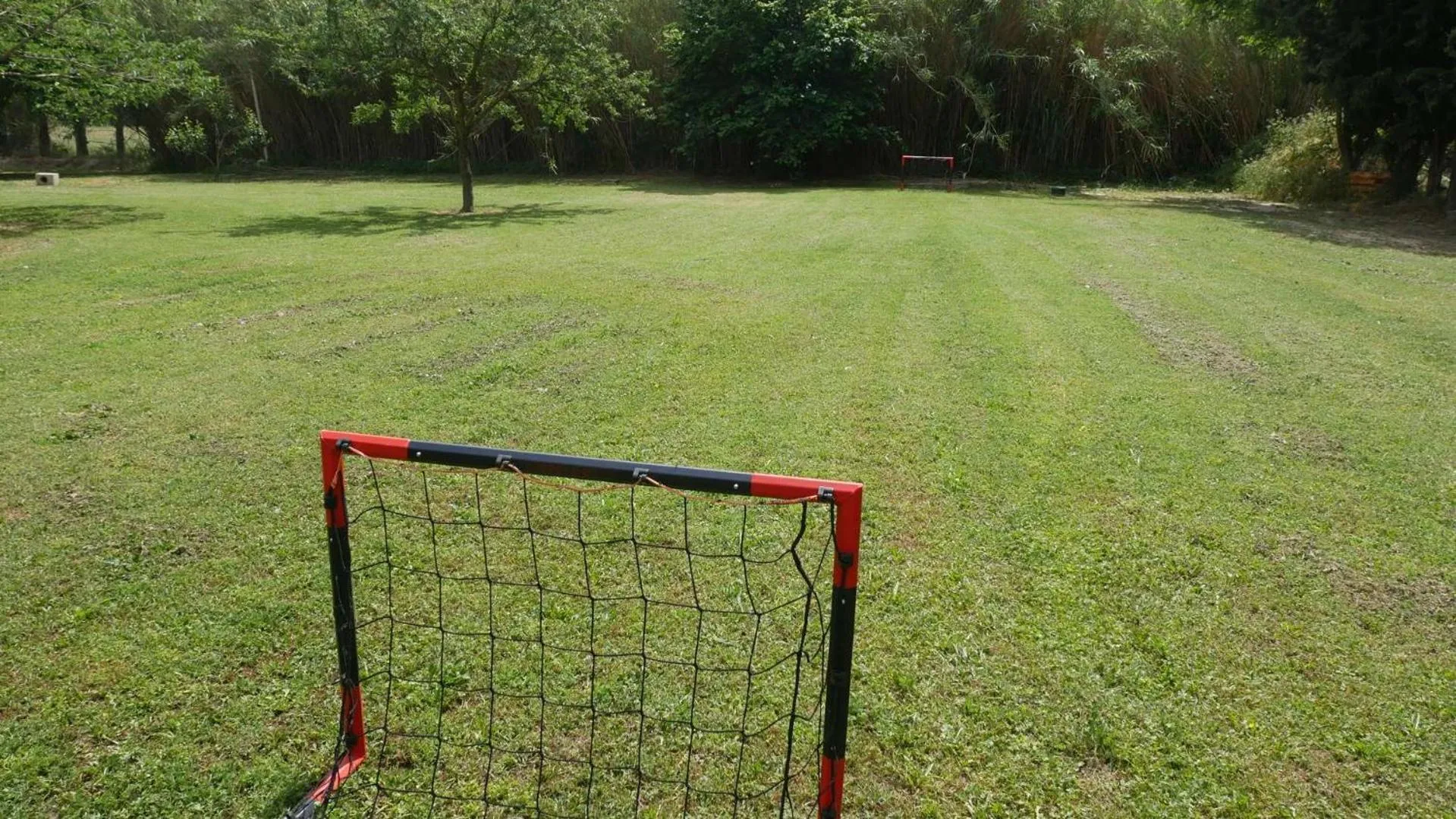 Sports in MAS MAURANE-Le Platane avec SPA privé aux portes d'ARLES