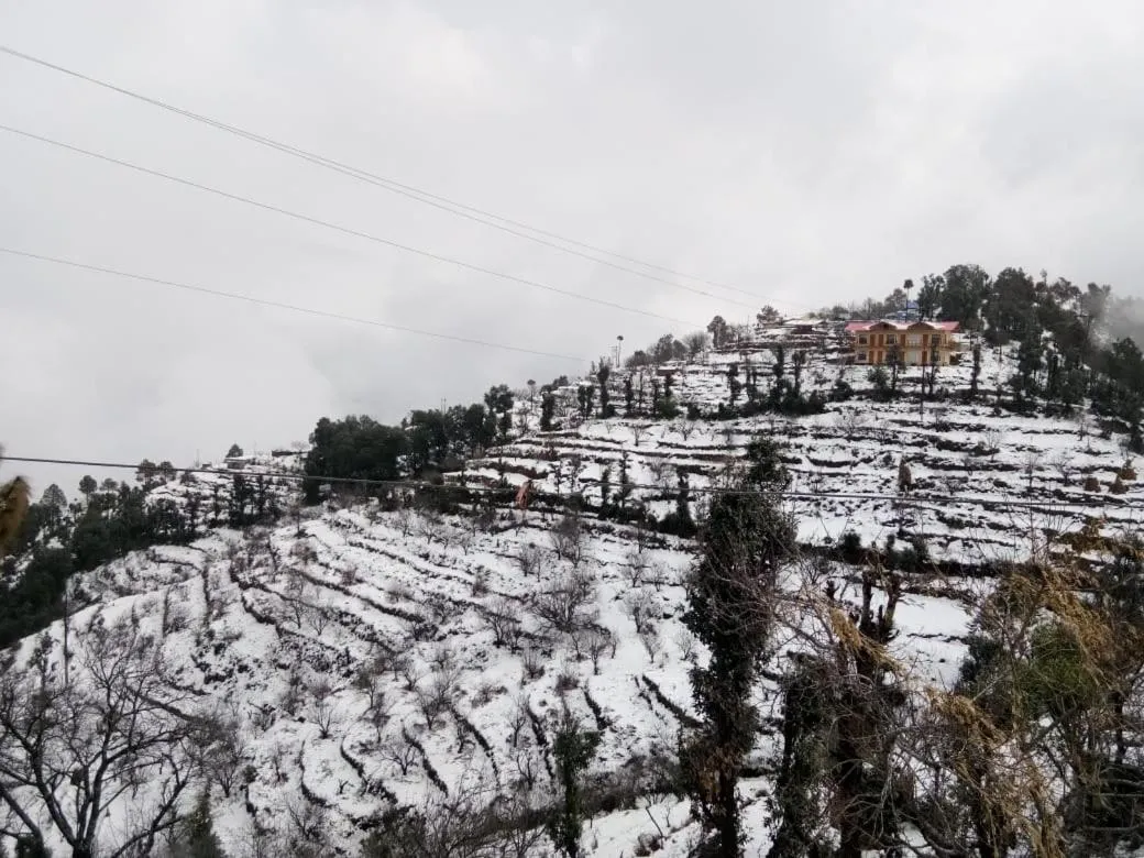 View (from property/room) in Pahadi Ghar Homestay