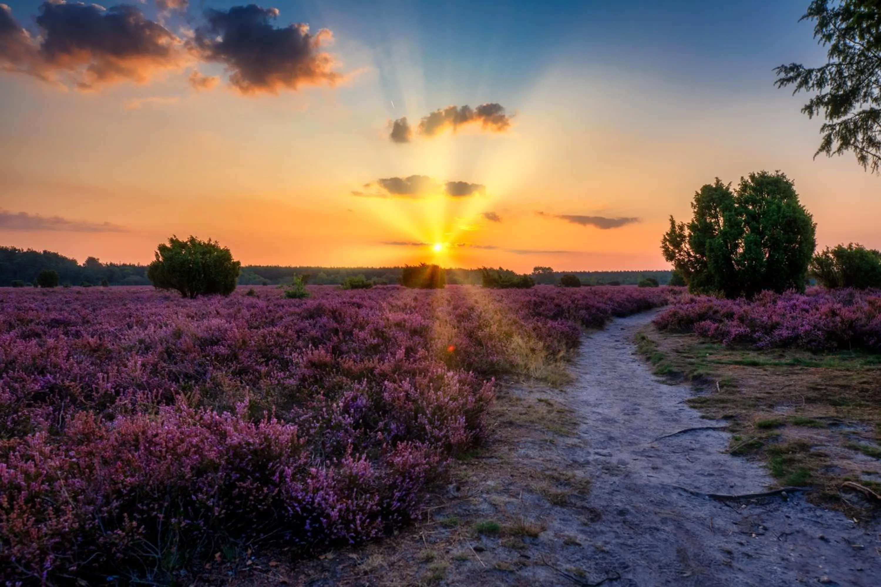 Natural landscape in Flair Hotel Rieckmann