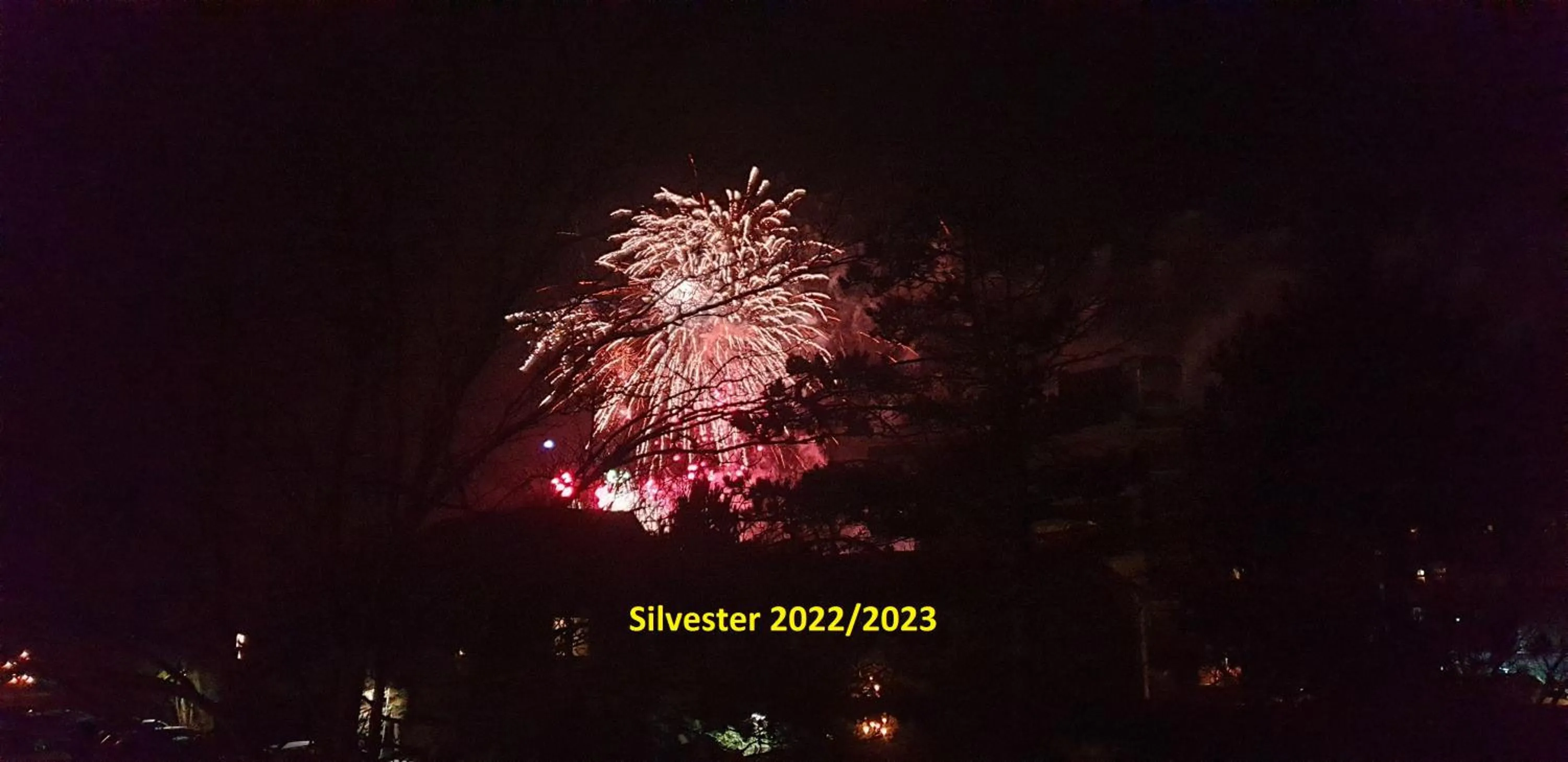 Lake view in Hotel Seeburg