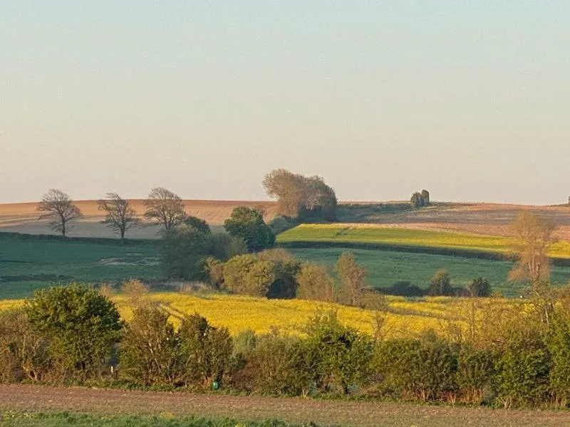 Hôtel de La Plage - WISSANT
