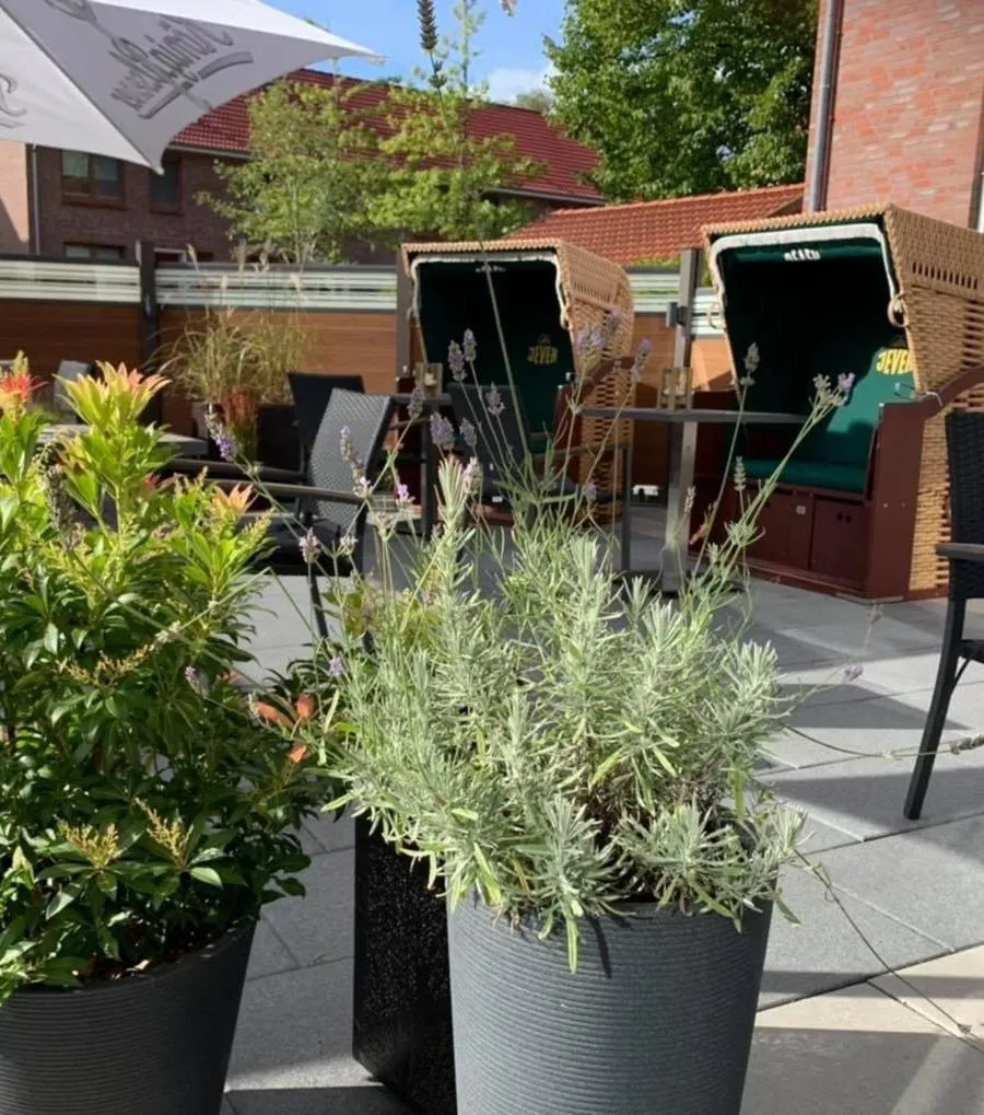 Restaurant/places to eat in Hotel Stadt Aurich