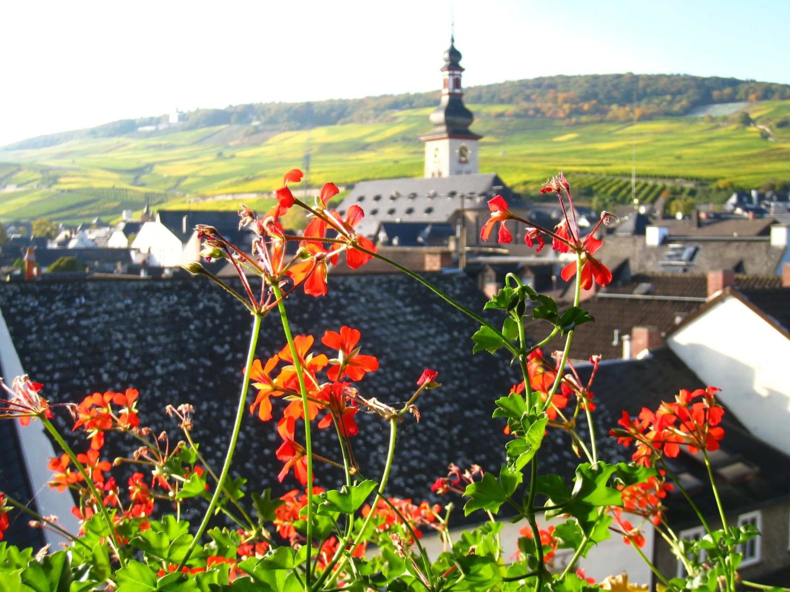 Autumn in Altdeutsche Weinstube - Superior