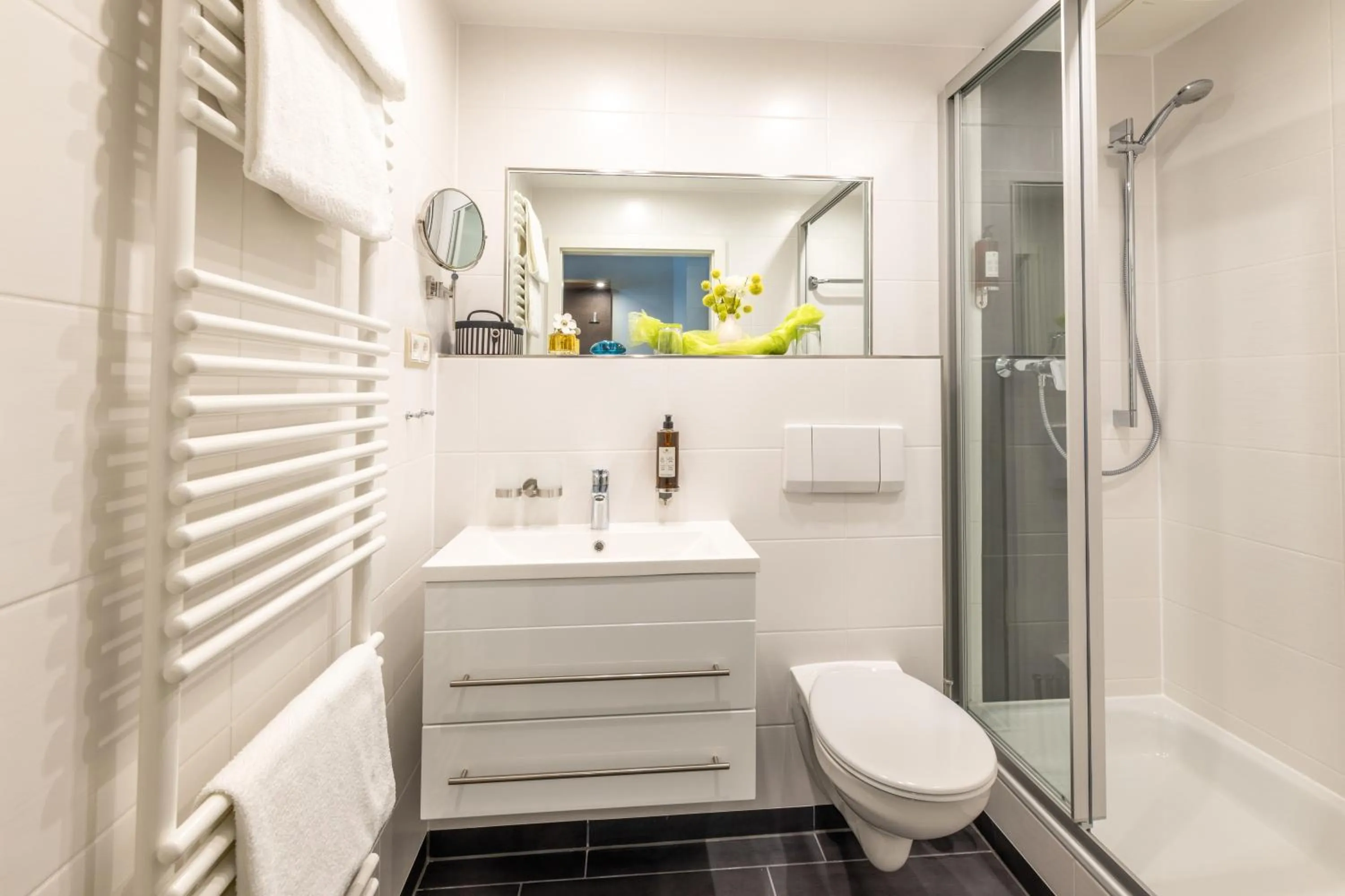 Toilet in Altdeutsche Weinstube - Superior