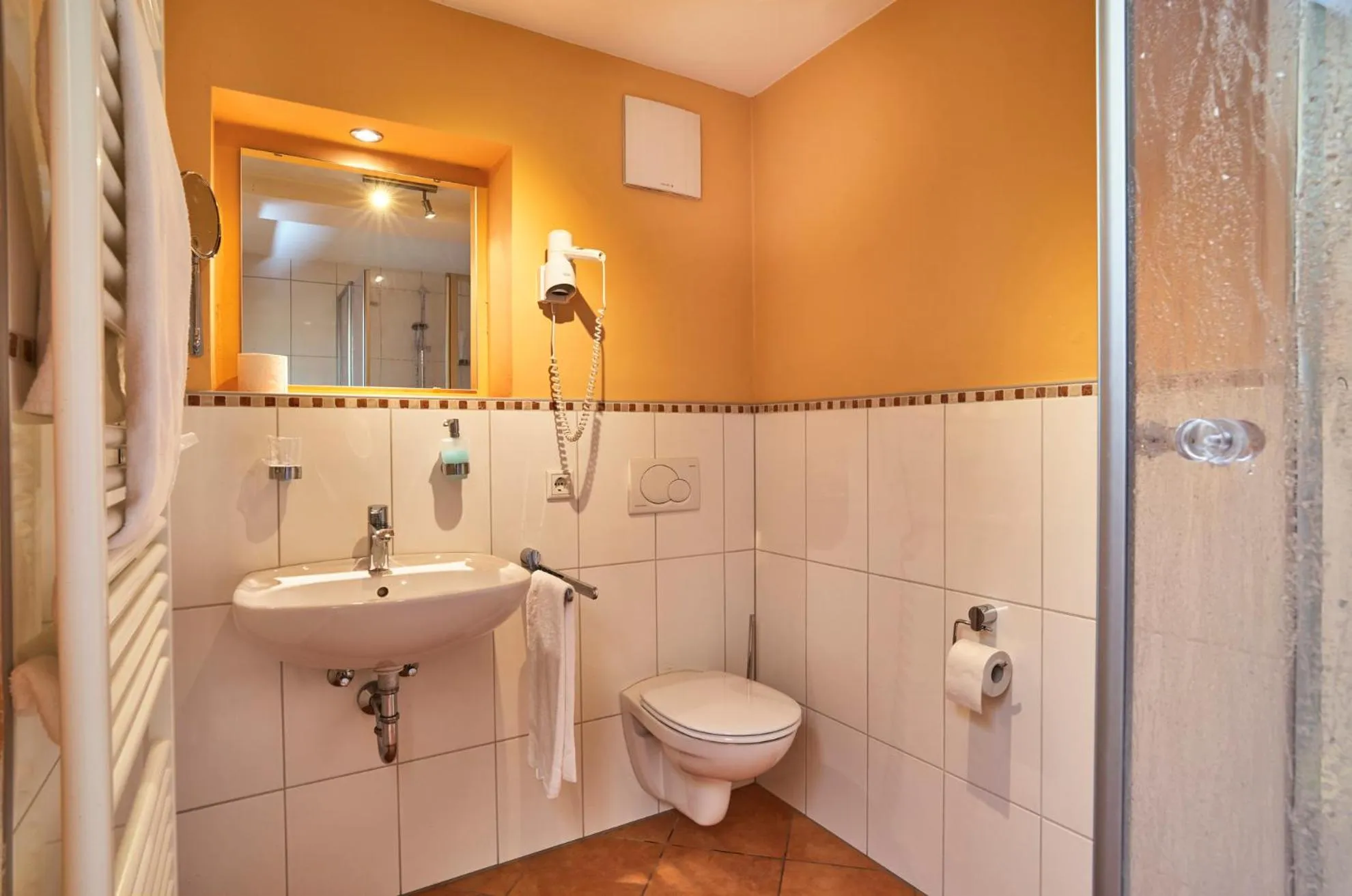 Bathroom in Zum blauen Hecht